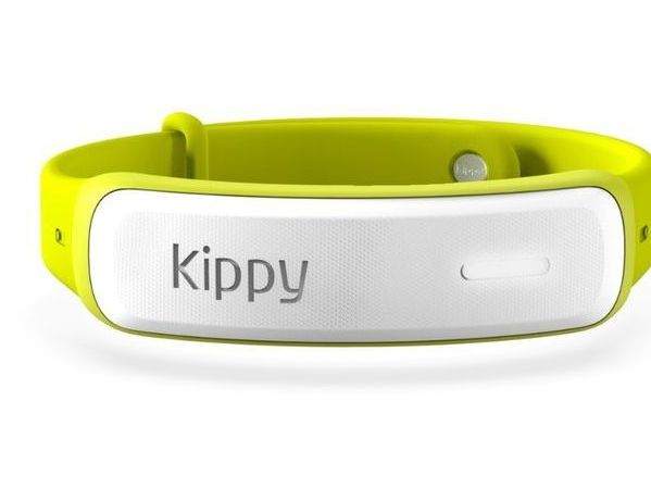 Kippy cat