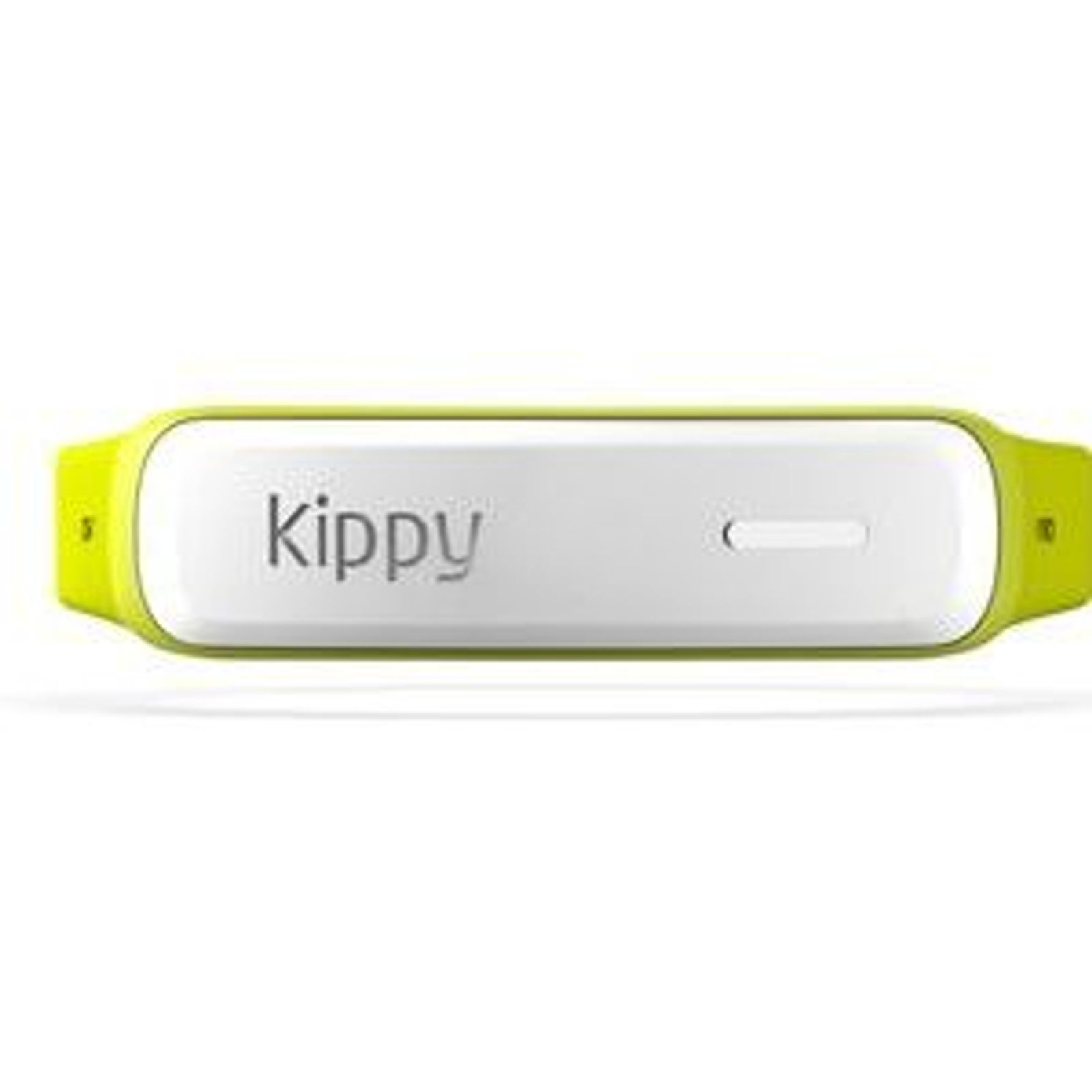 Kippy cat — 1