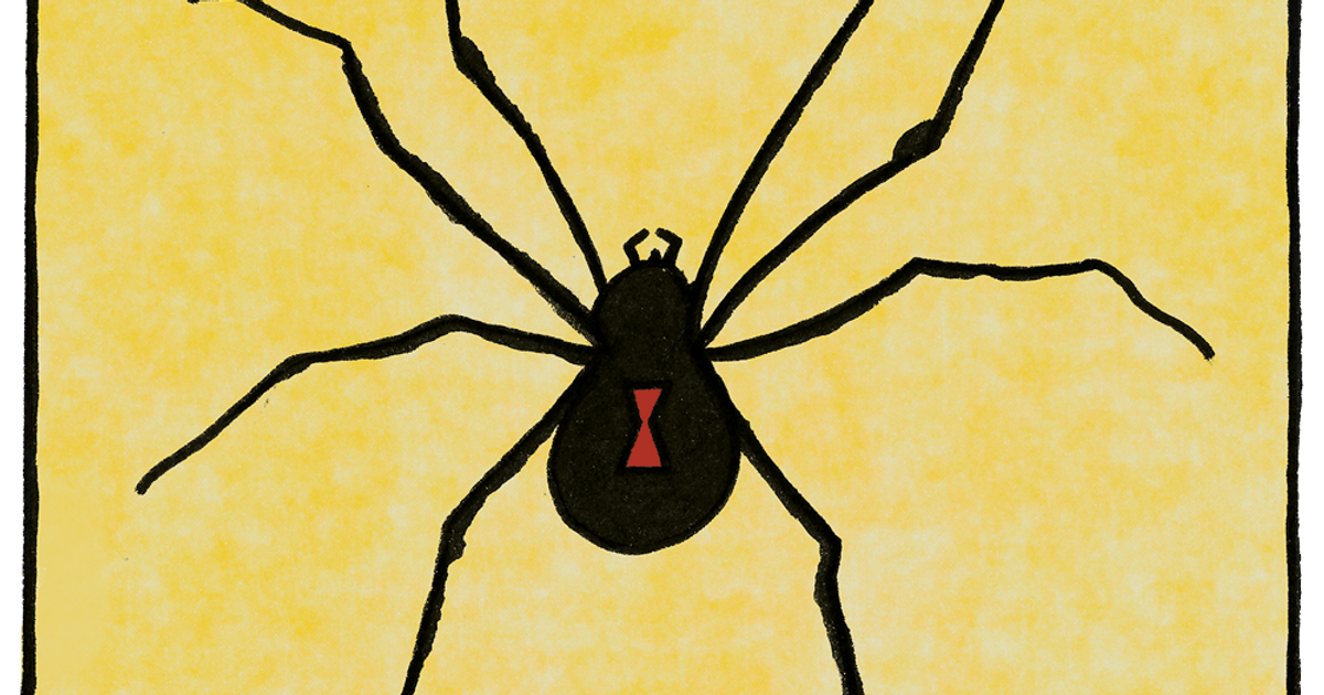 Black Widow Spider