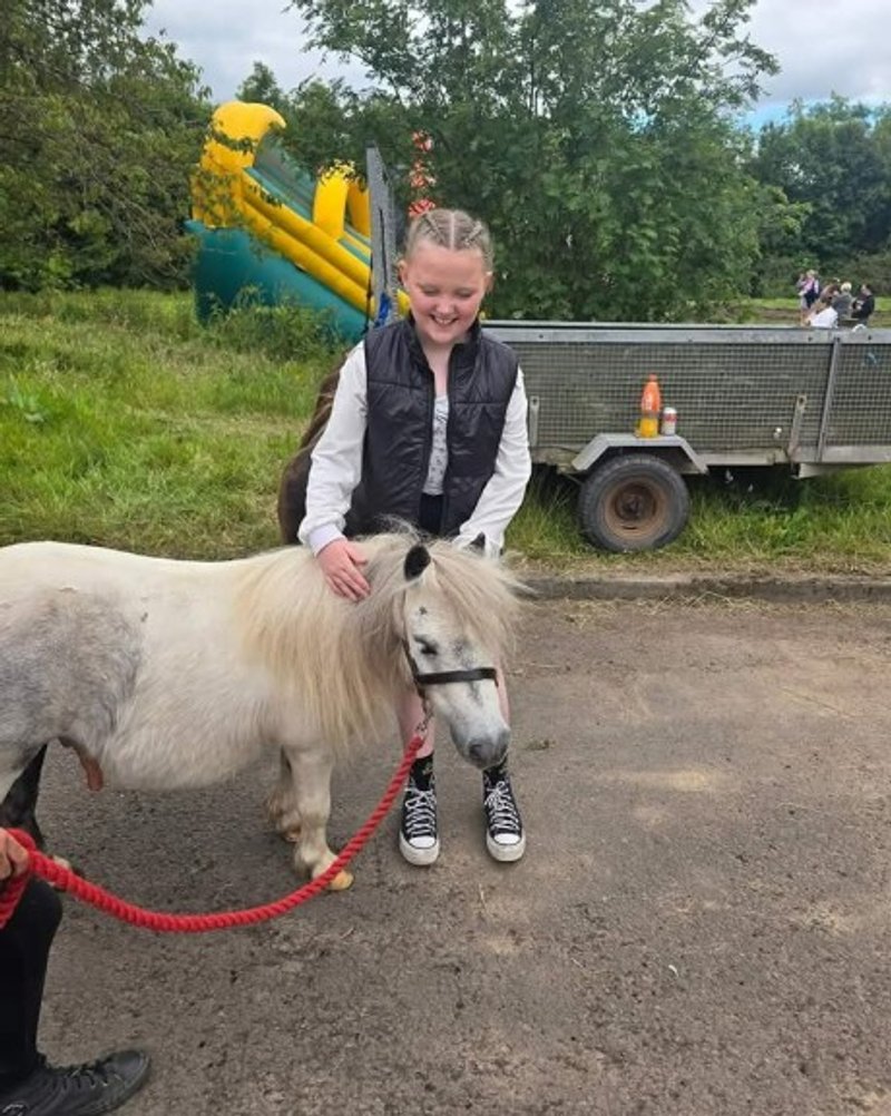 Shetland pony at a funday