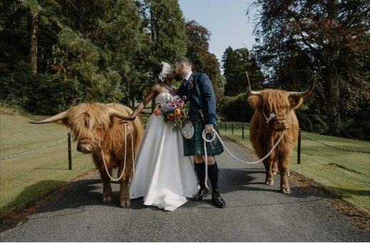 Weddings