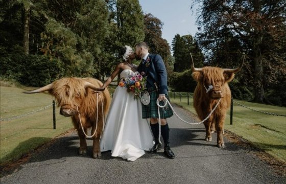 Weddings