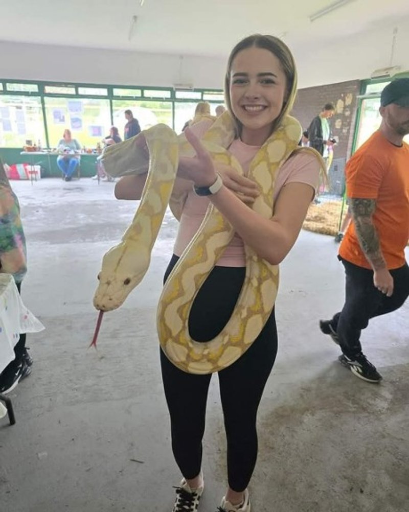 Snake at a funday