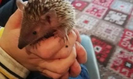 Fundays & Entertainment