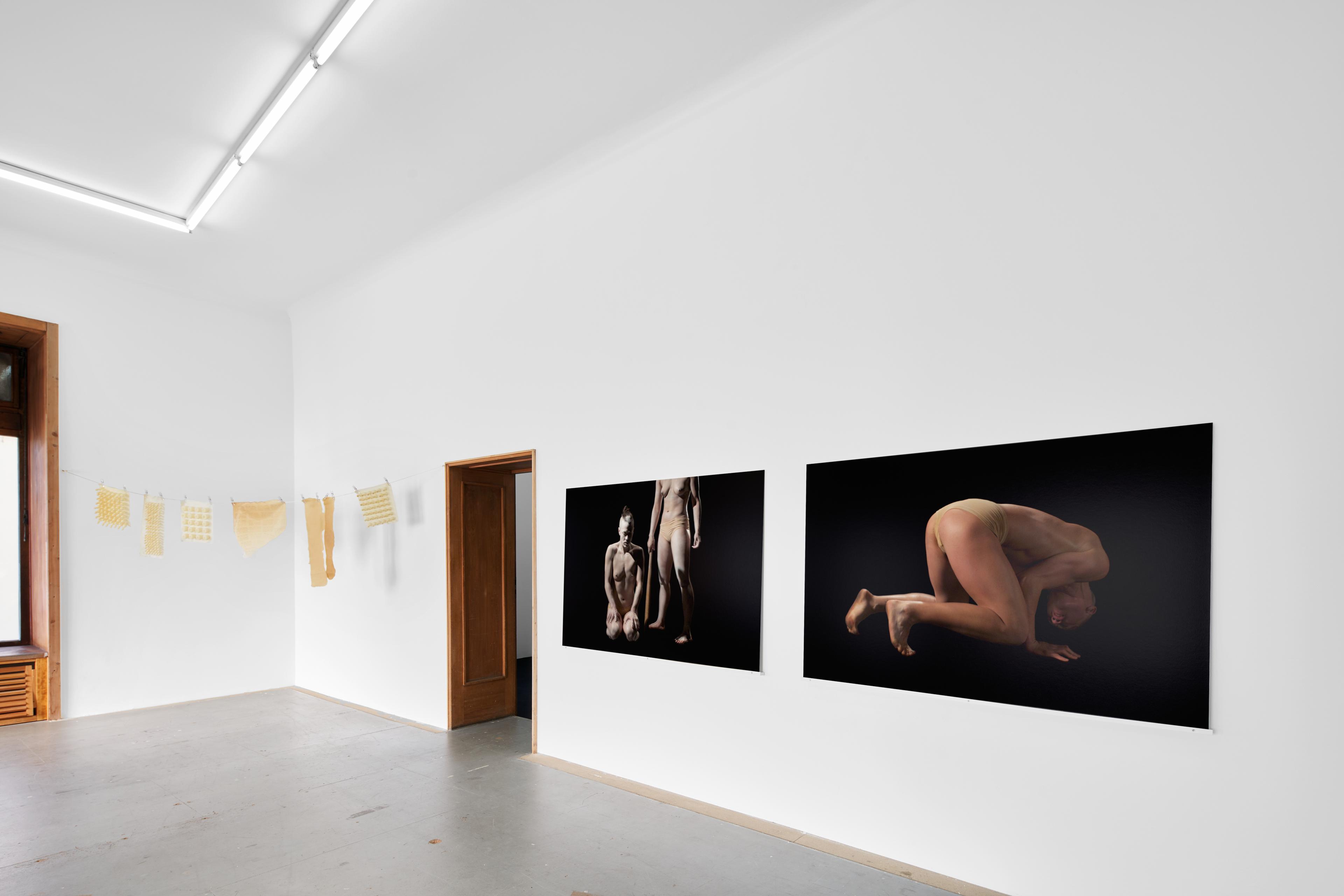 Galerie Isabella Bortolozzi
