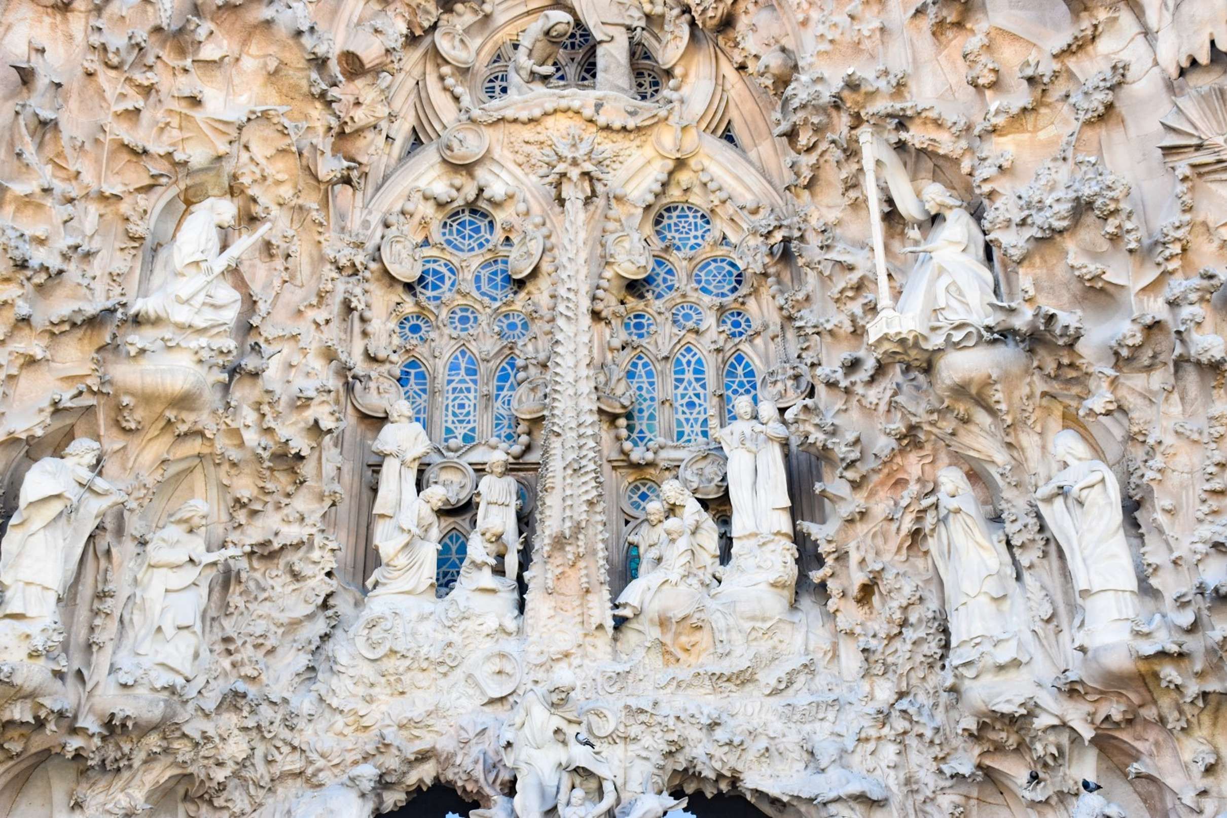 Sagrada Familia Guided Tour with Tower Access, Barcelona — photo 1