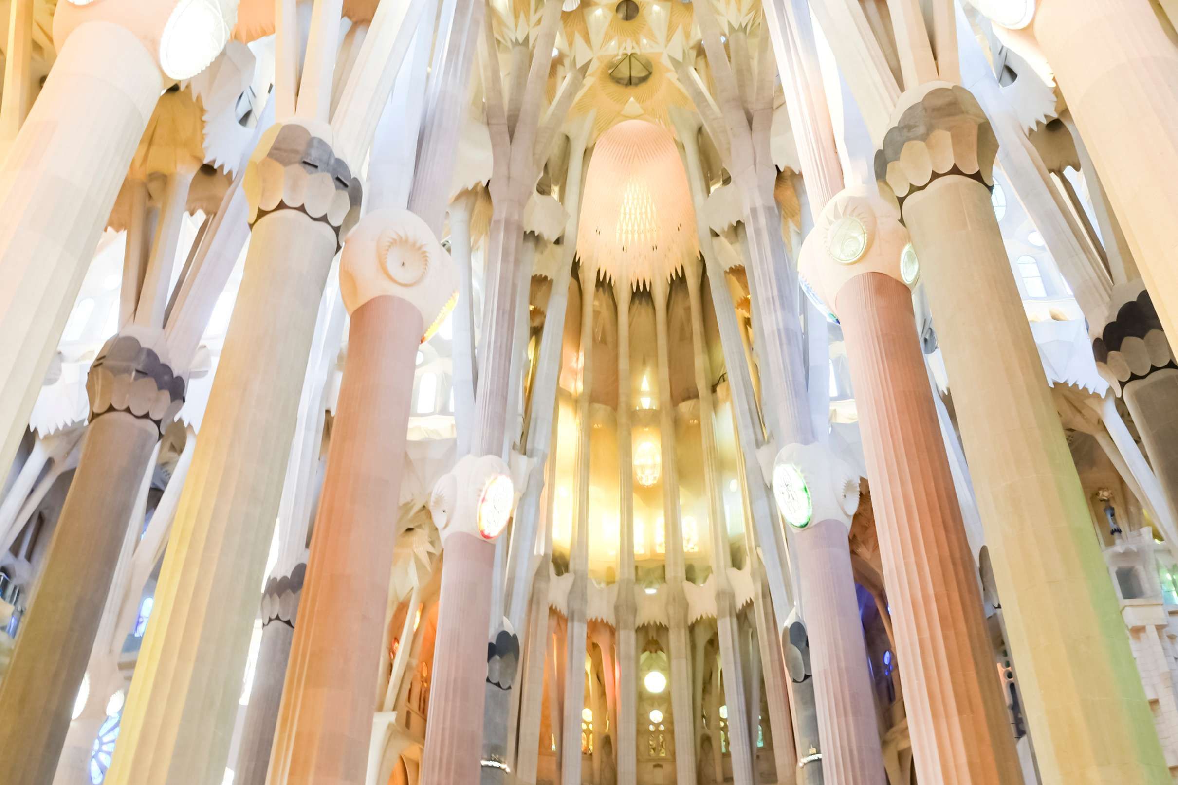 Sagrada Familia Tour with Optional Tower Upgrade, Barcelona — photo 3