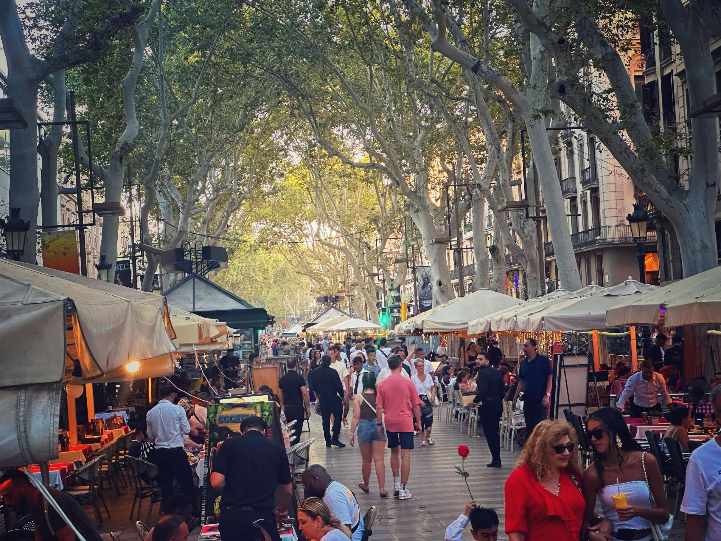 Barcelona Gothic Quarter & Gaudí Houses Walking Tour 2.5h, Barcelona — photo 4