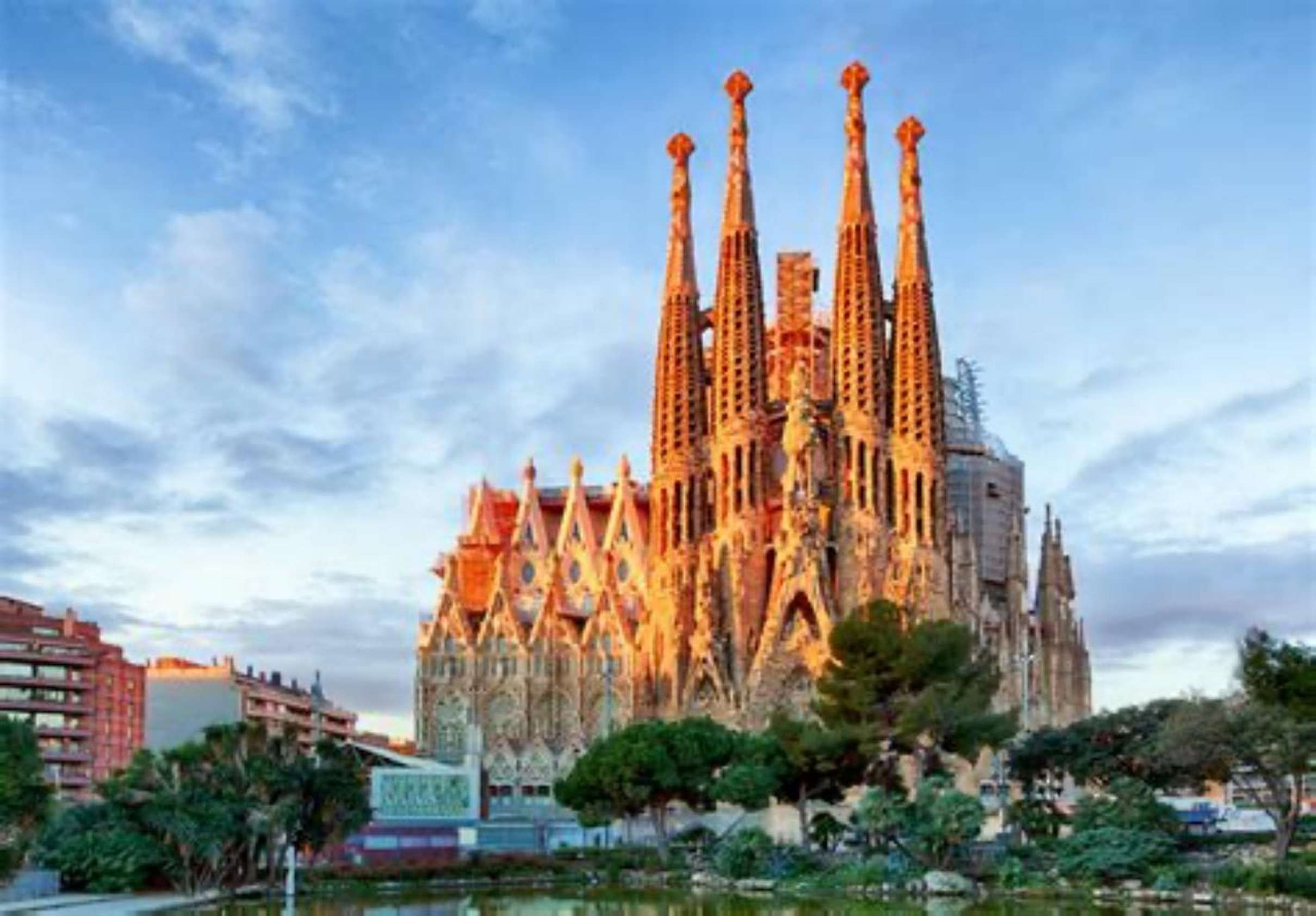 Sagrada Familia Guided Basilica Tour with Optional Tower, Barcelona — photo 1