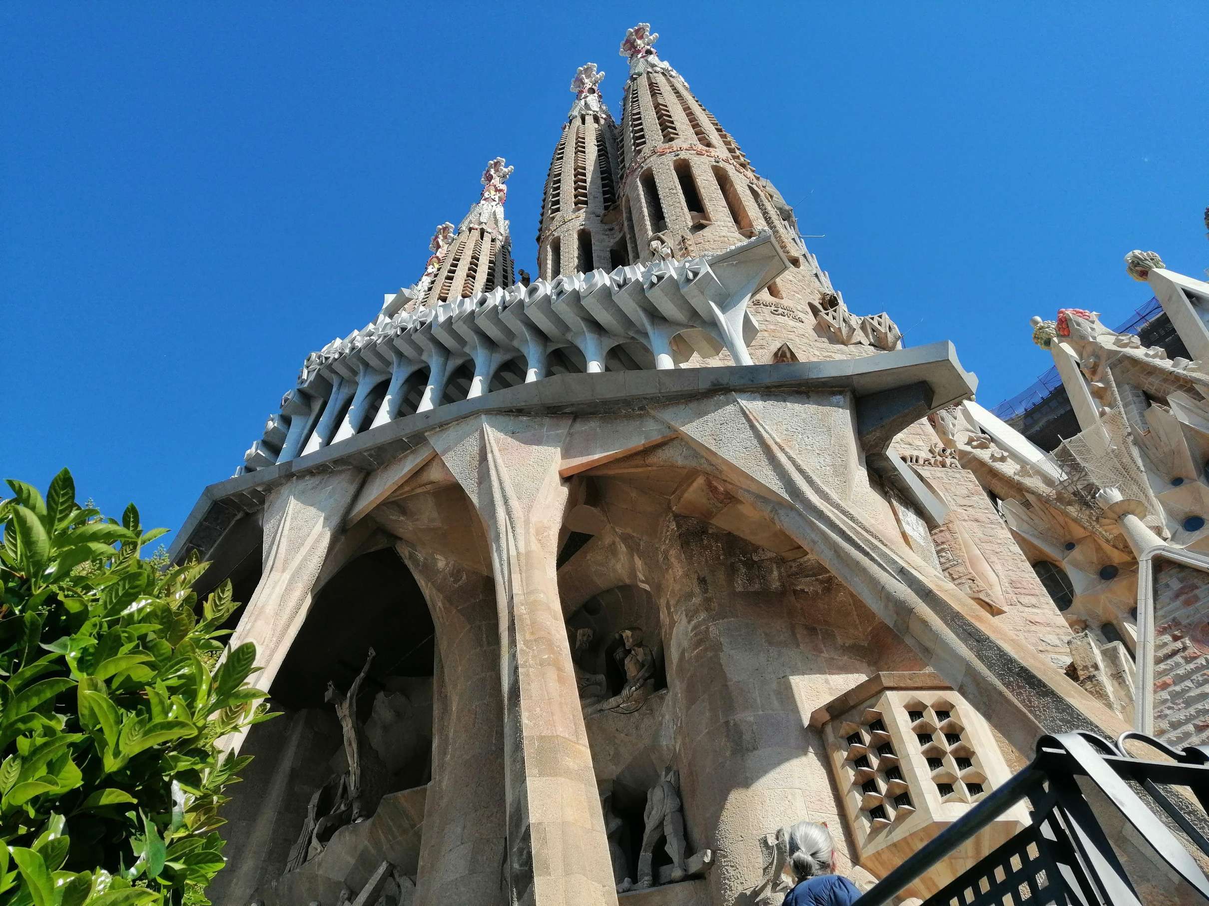 Sagrada Familia Priority Access Tour with Symbol Guide, Barcelona — photo 4