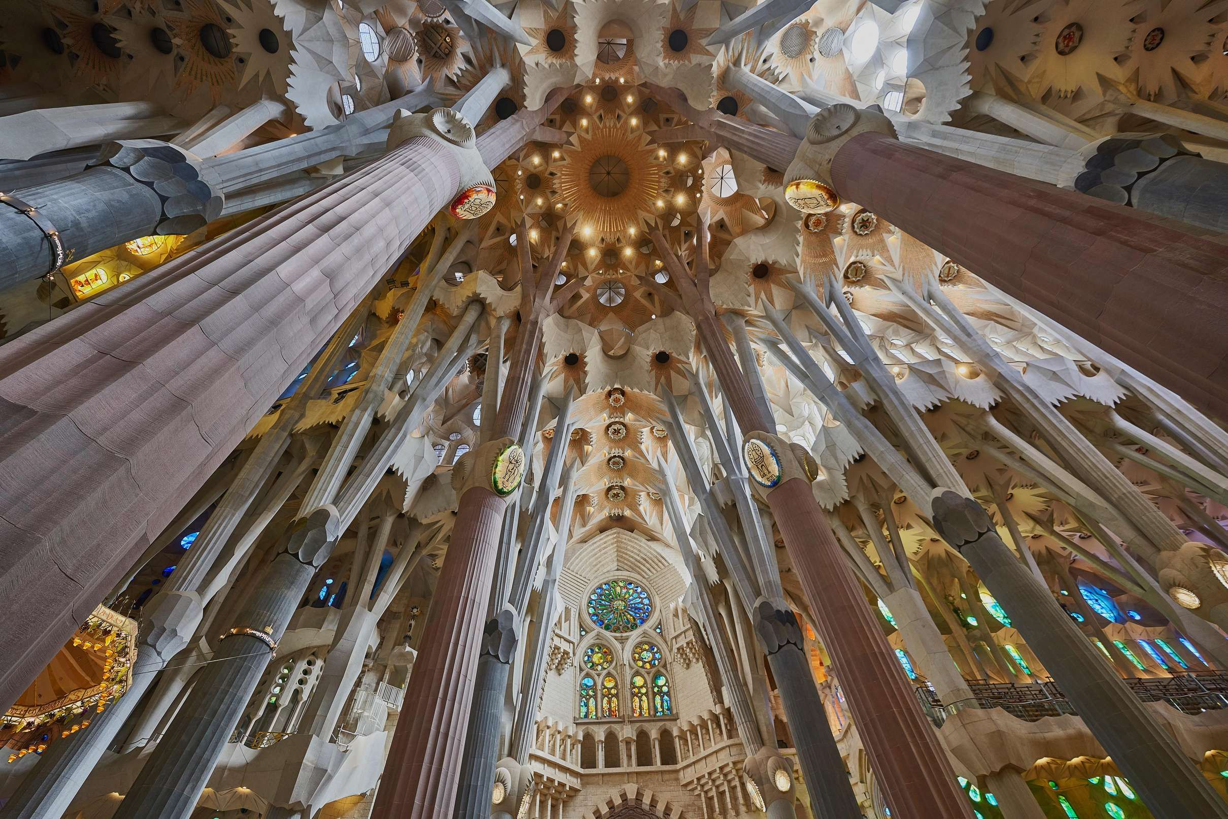 Sagrada Familia Morning Light Tour with Interior Focus, Barcelona — photo 2