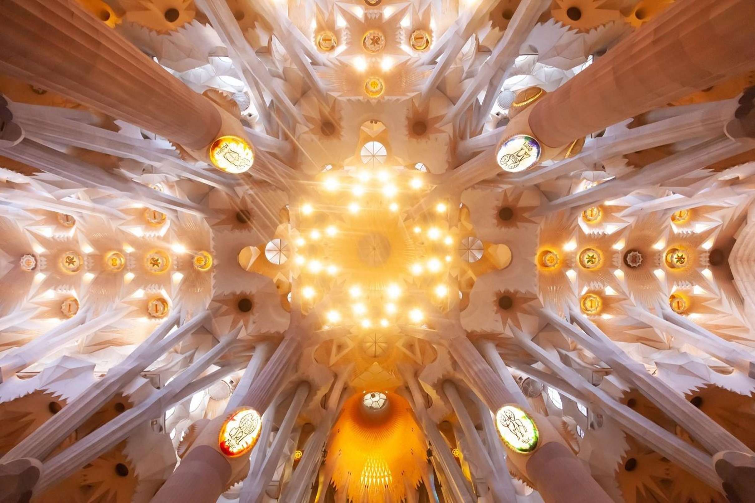 Barcelona Gaudí Twin Sites Tour: Park Güell & Sagrada Famili, Barcelona — photo 4