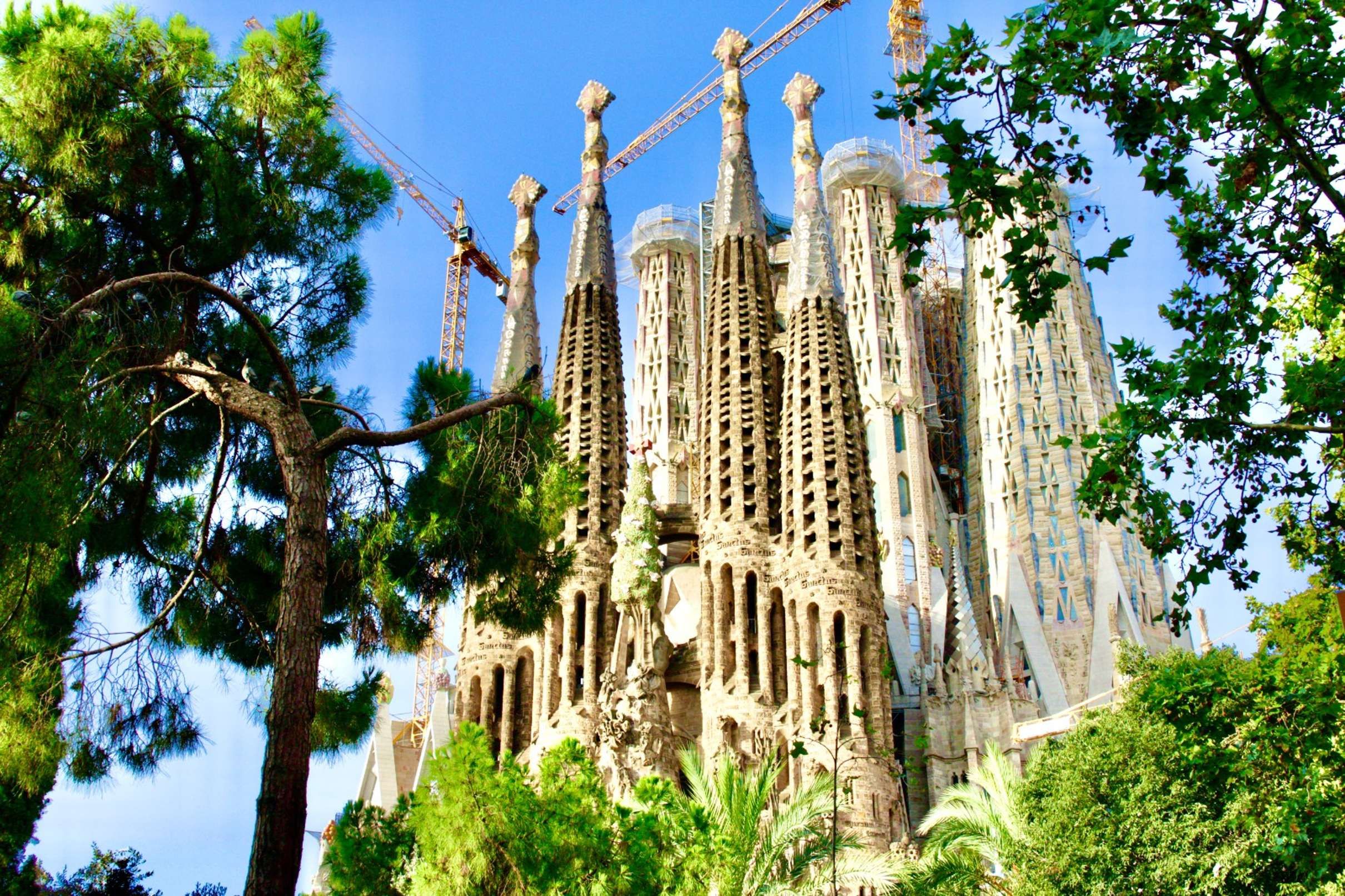 Sagrada Familia Architecture Guide Tour Barcelona, Barcelona — photo 1