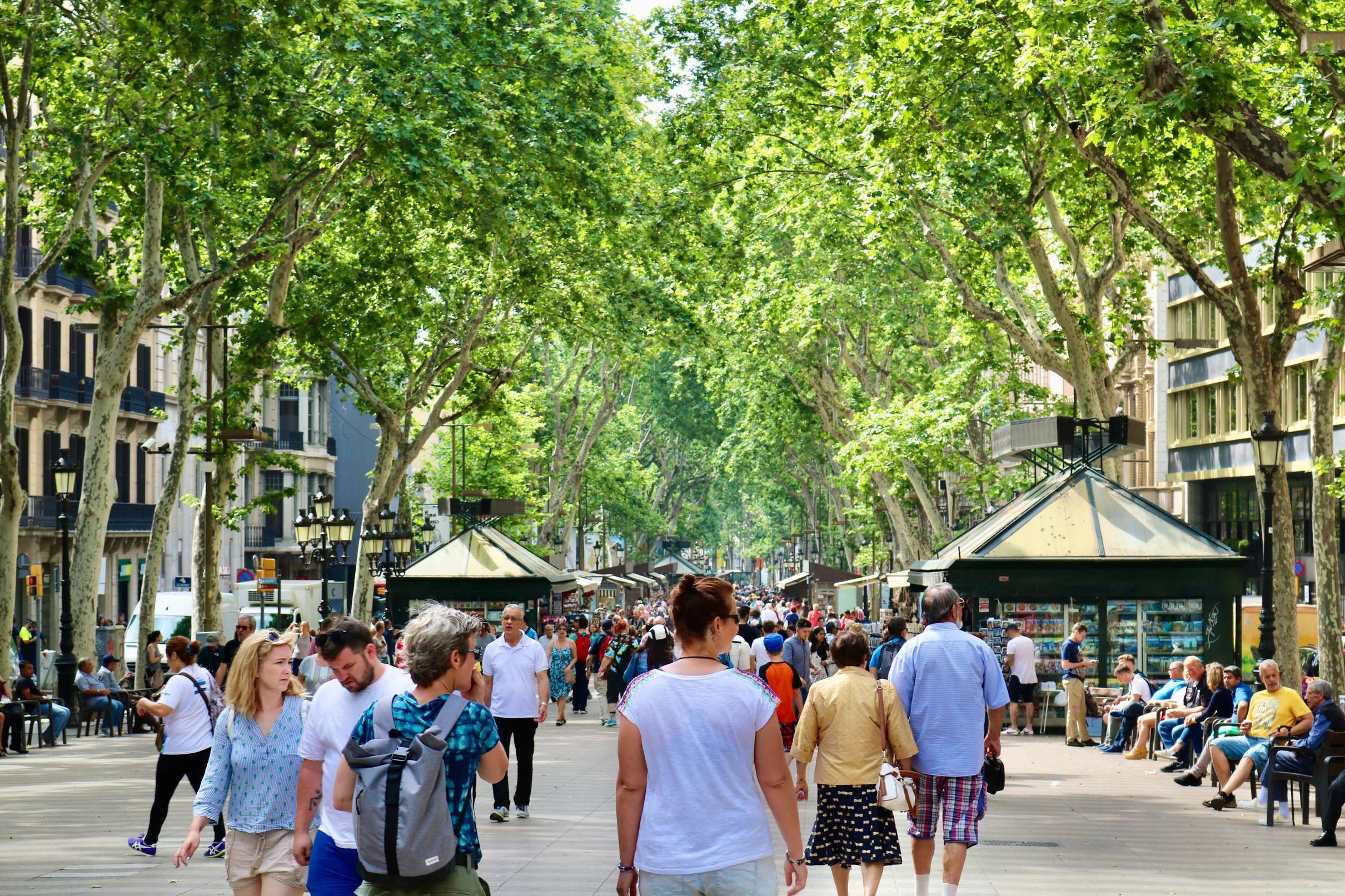 Barcelona Full-Day Tour: Gothic Quarter & Gaudí Sites, Barcelona — photo 4