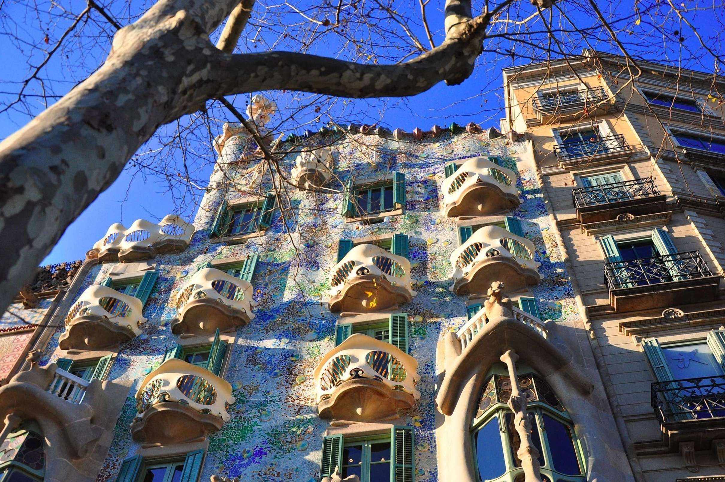 Sagrada Familia Priority Access Tour with Symbol Guide, Barcelona — photo 2