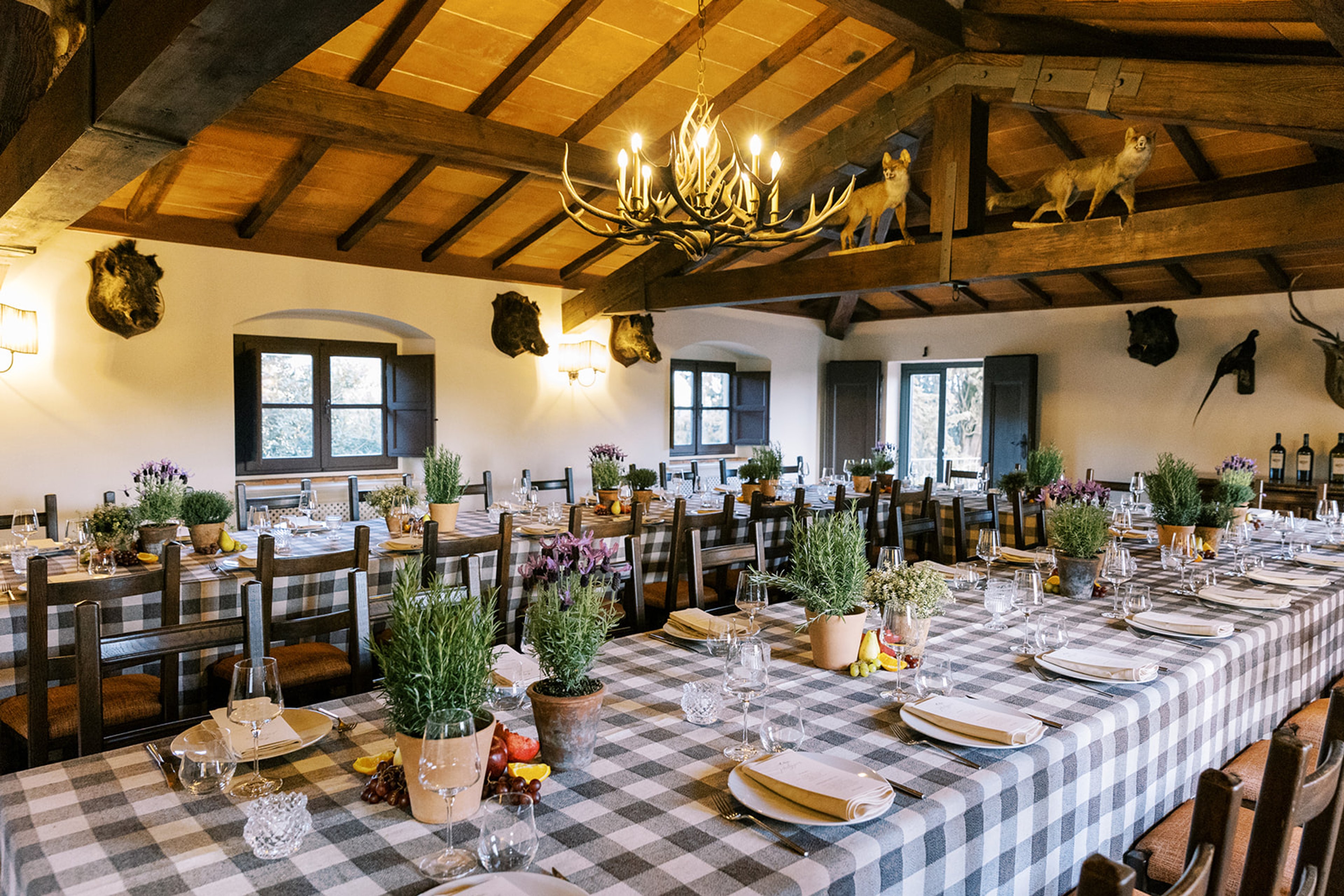 From Tuscany with love — 8