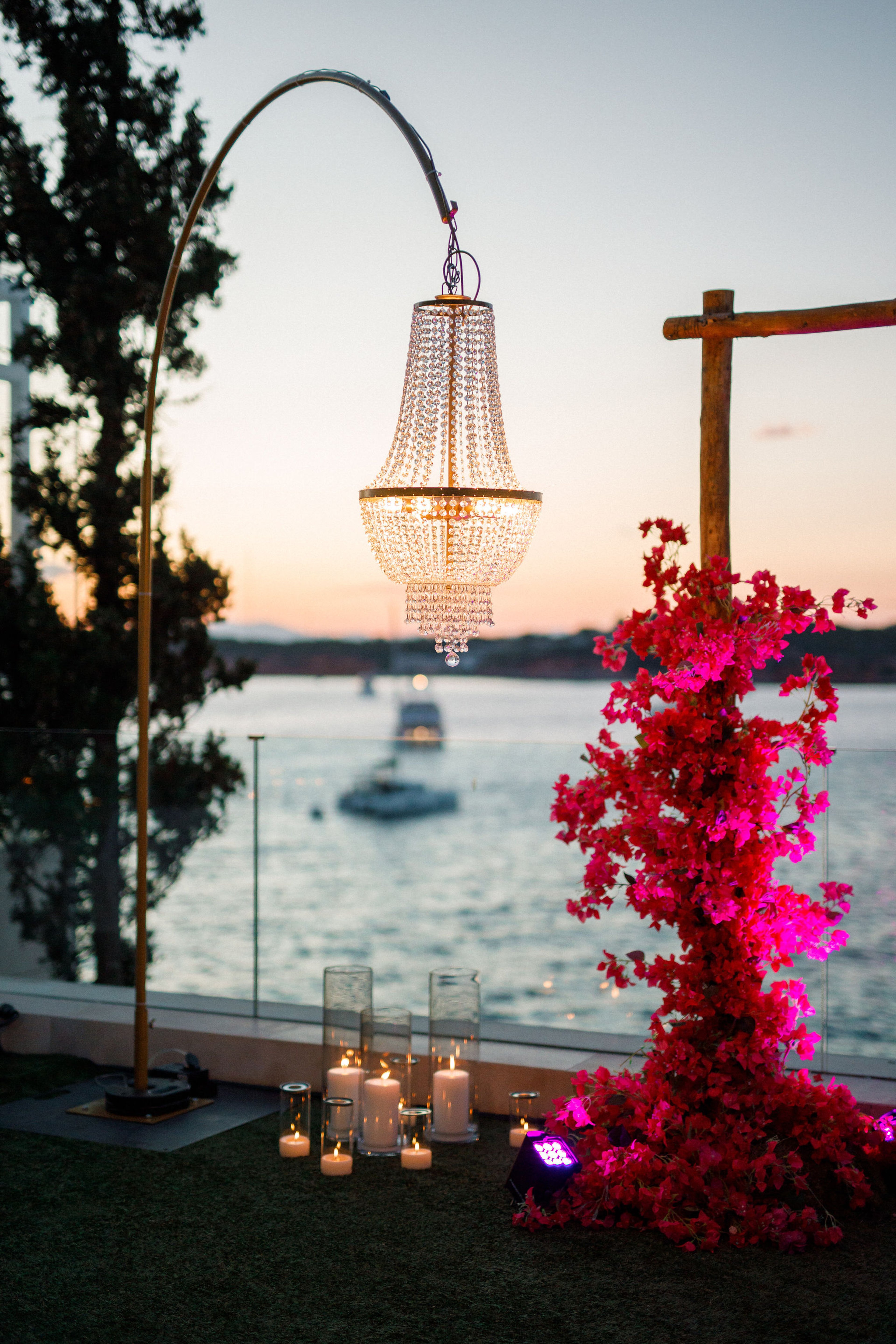 Bougainvillea Bloom — 21
