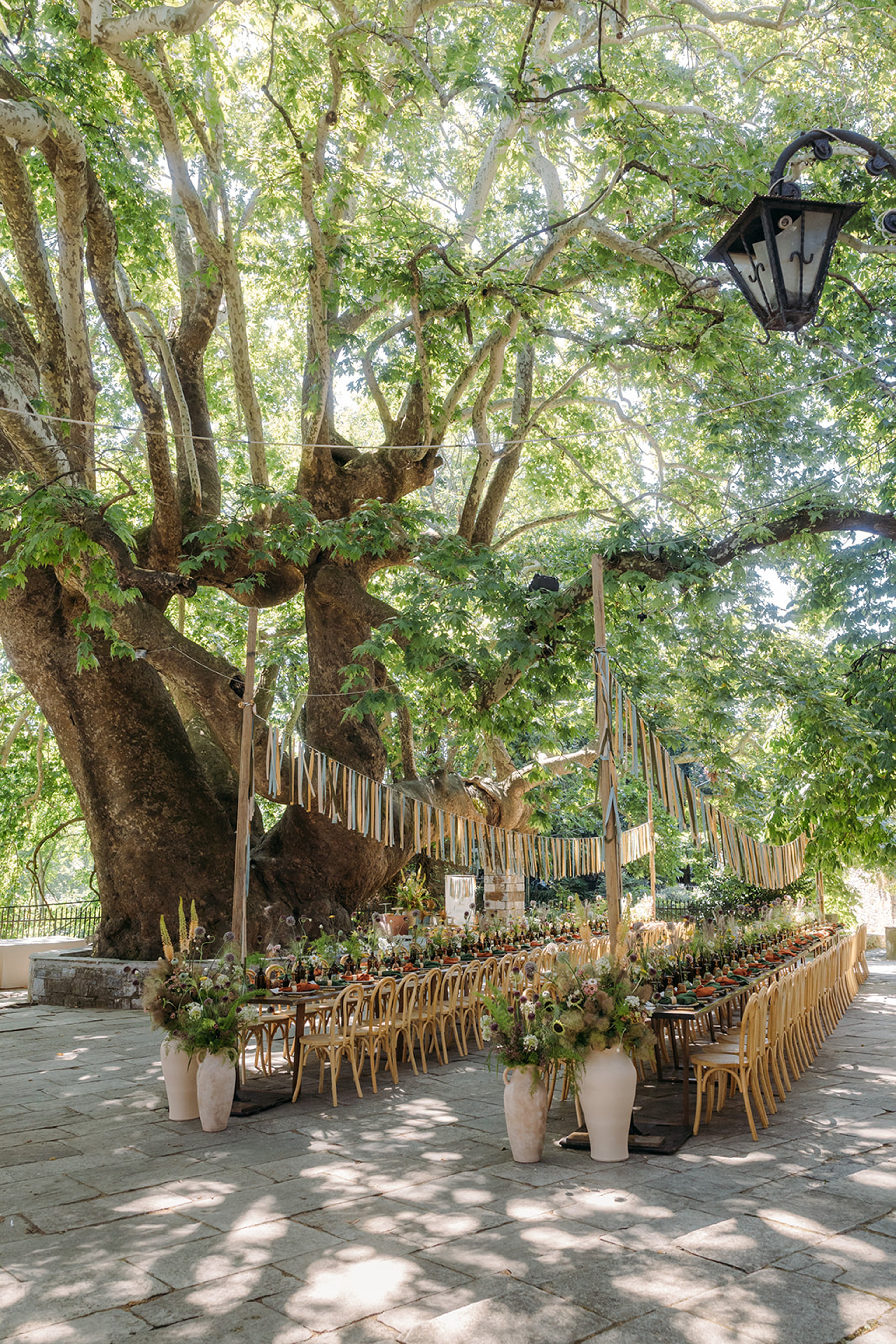Under the Plane Tree — 2