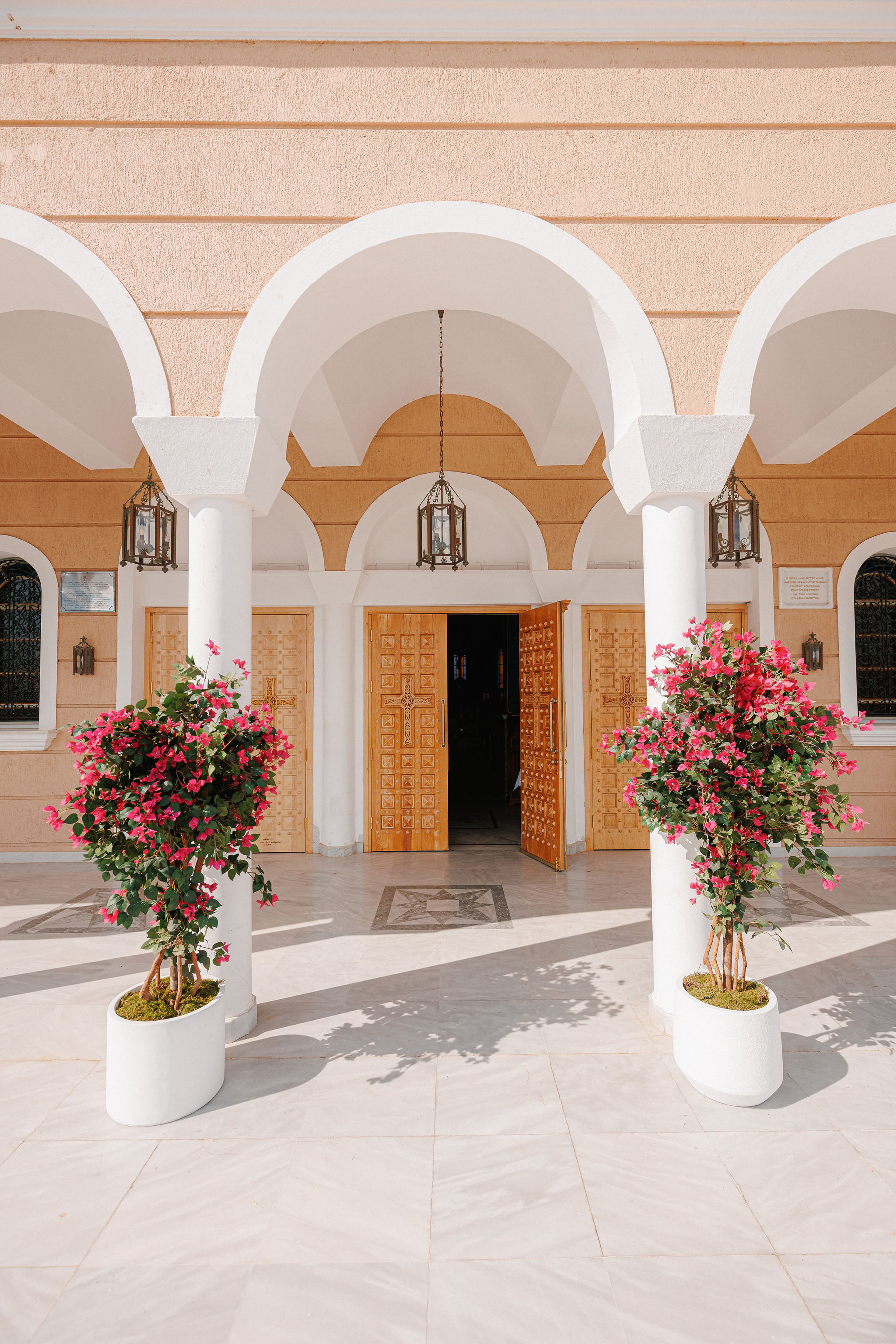 Bougainvillea Bloom — 2