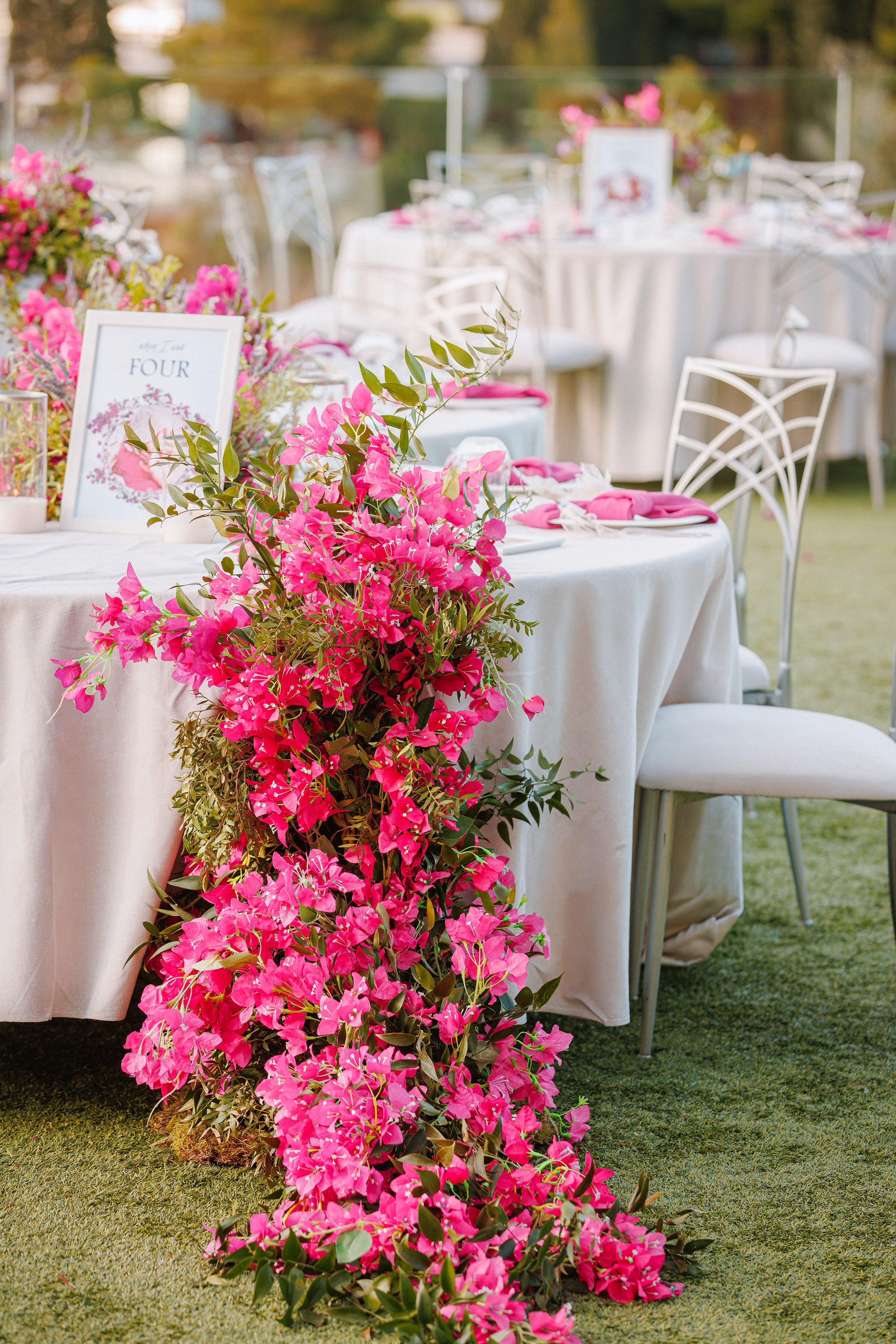 Bougainvillea Bloom — 14