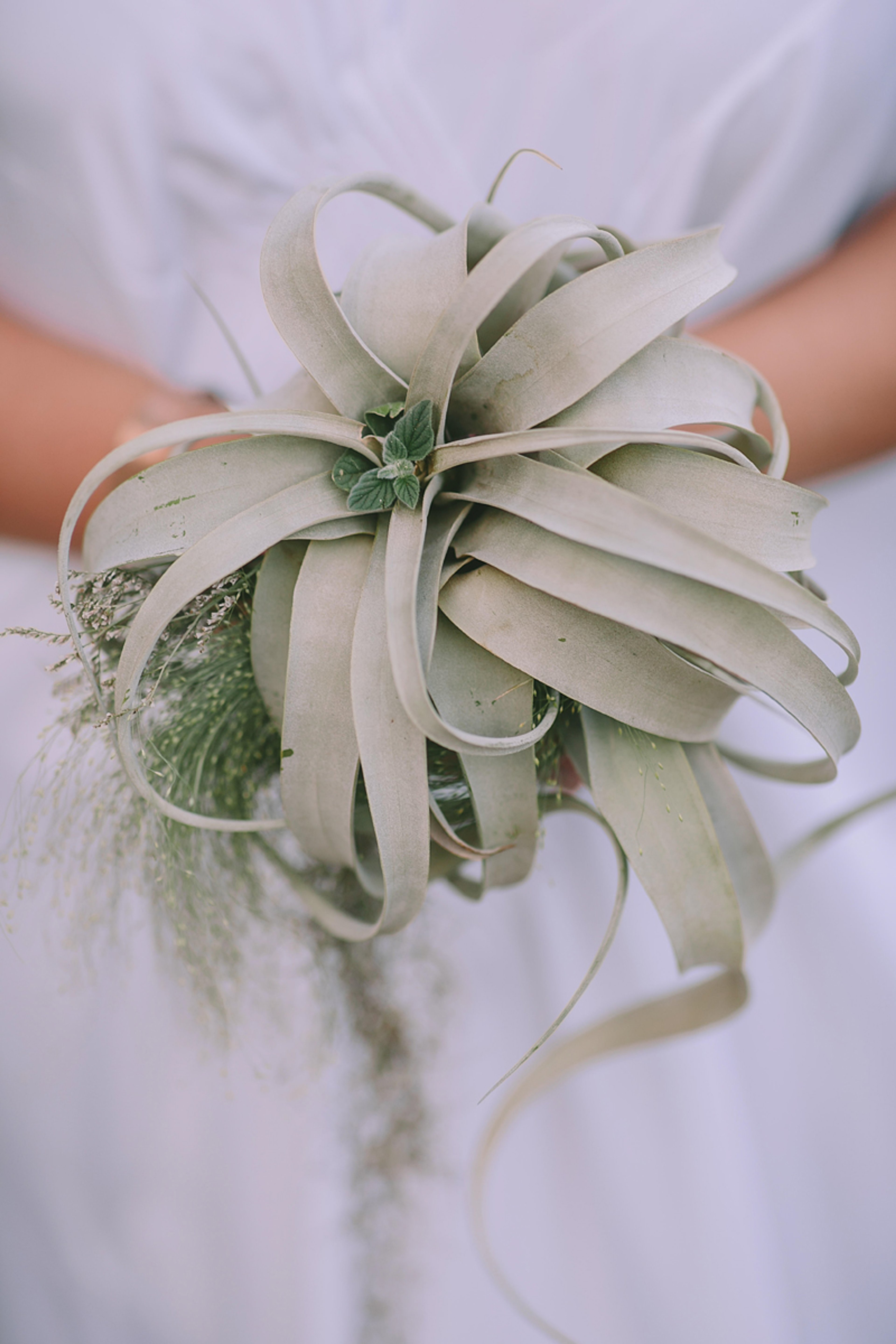 Penelope & Antonios — 5