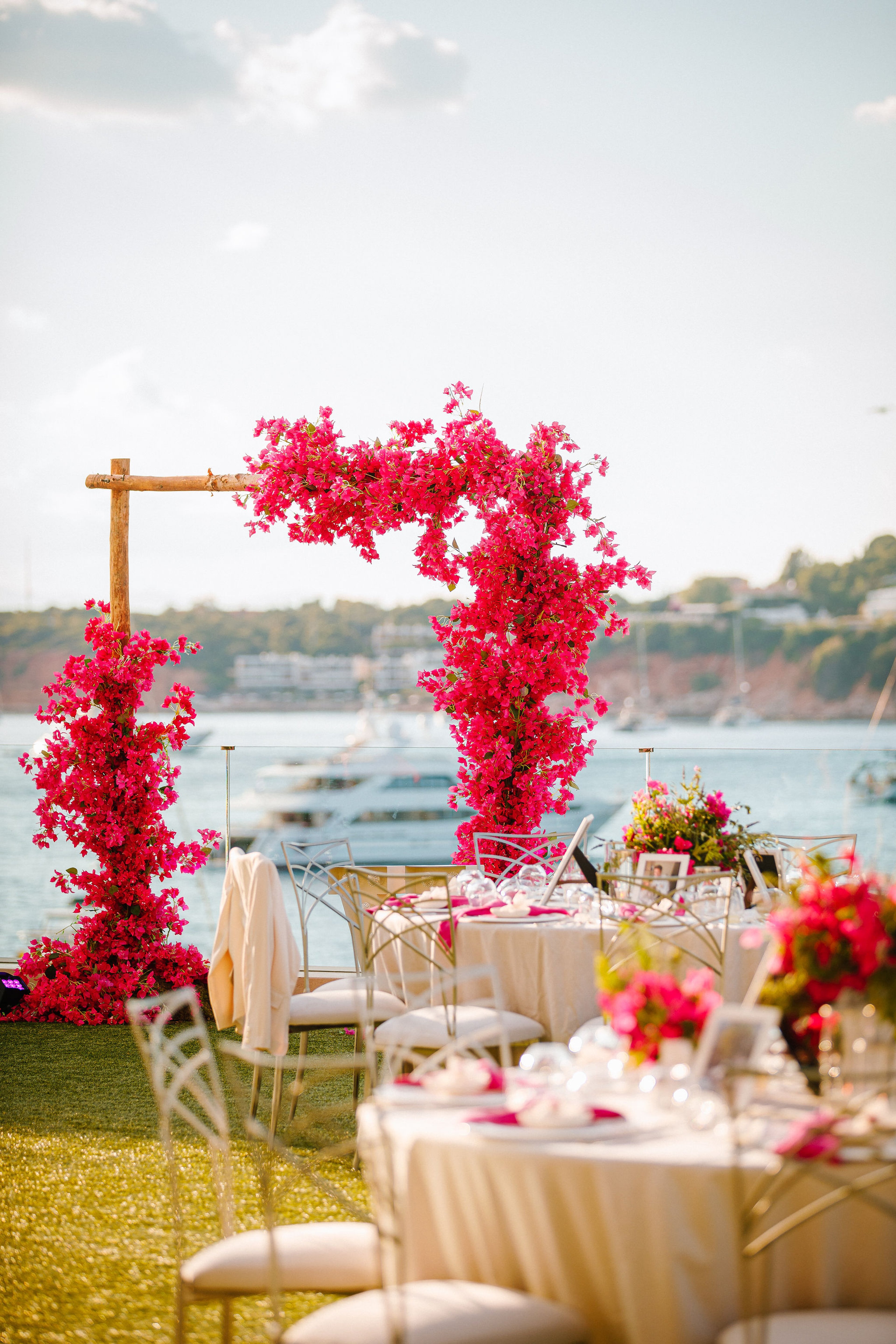 Bougainvillea Bloom — 10