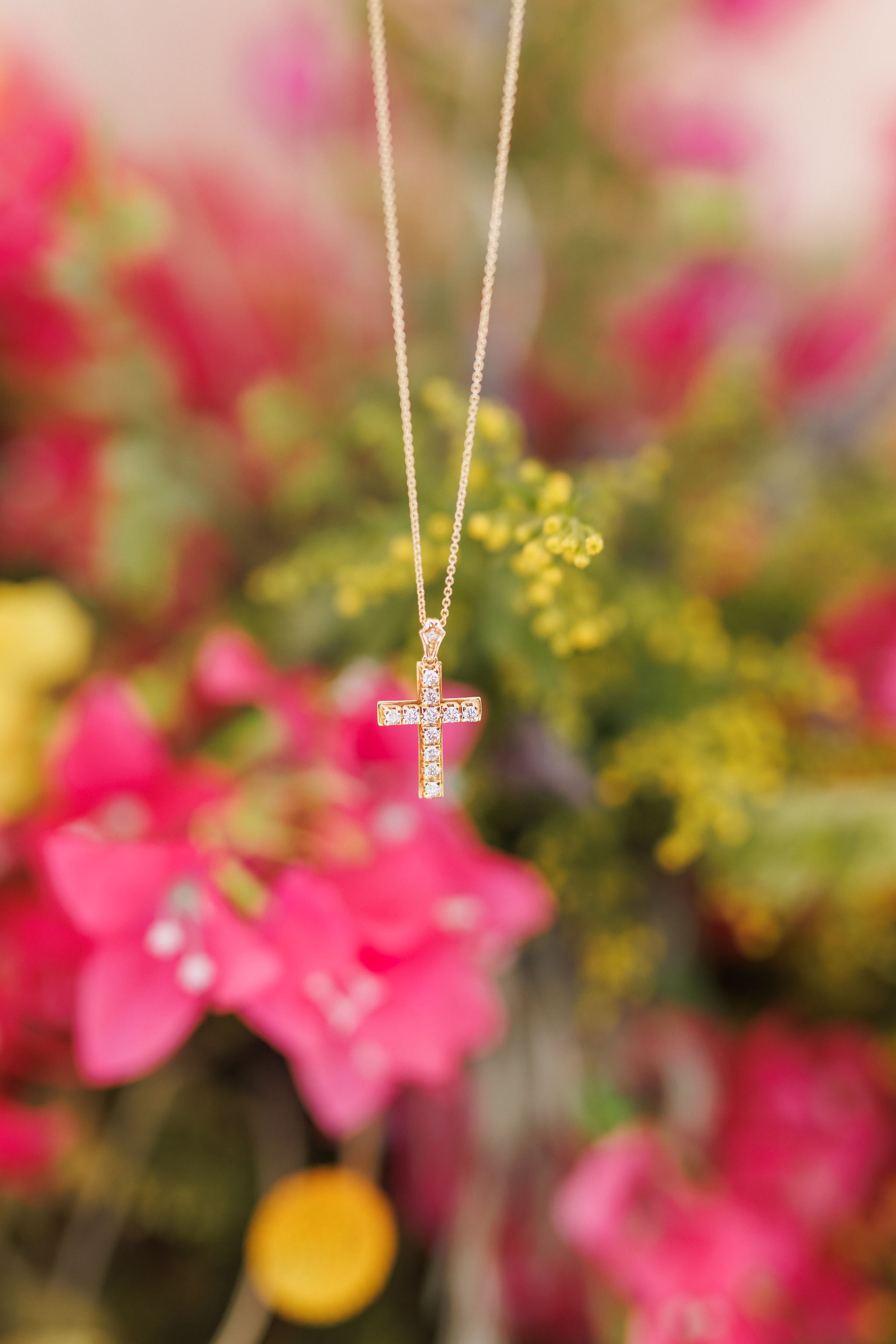 Bougainvillea Bloom — 4