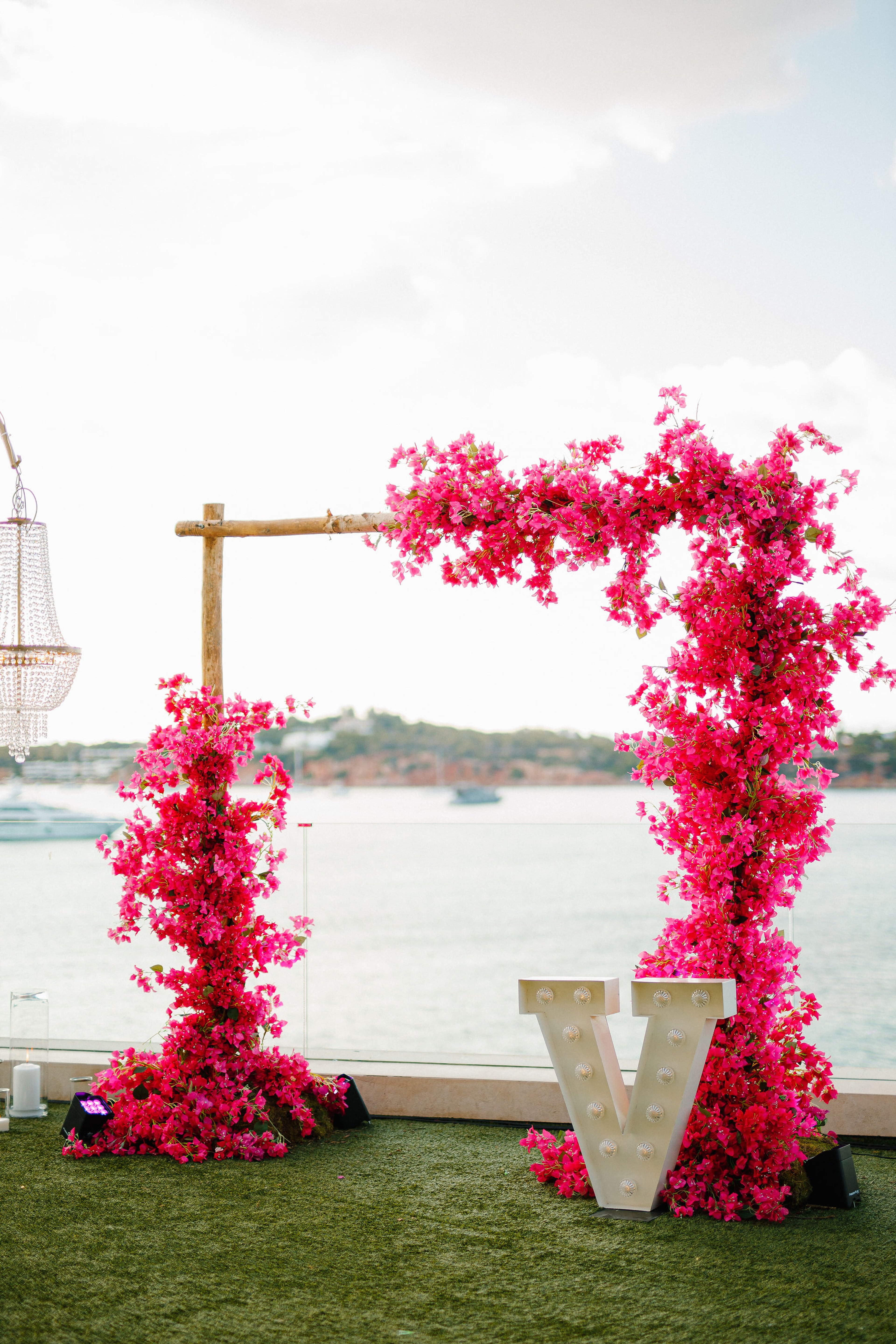 Bougainvillea Bloom — 17