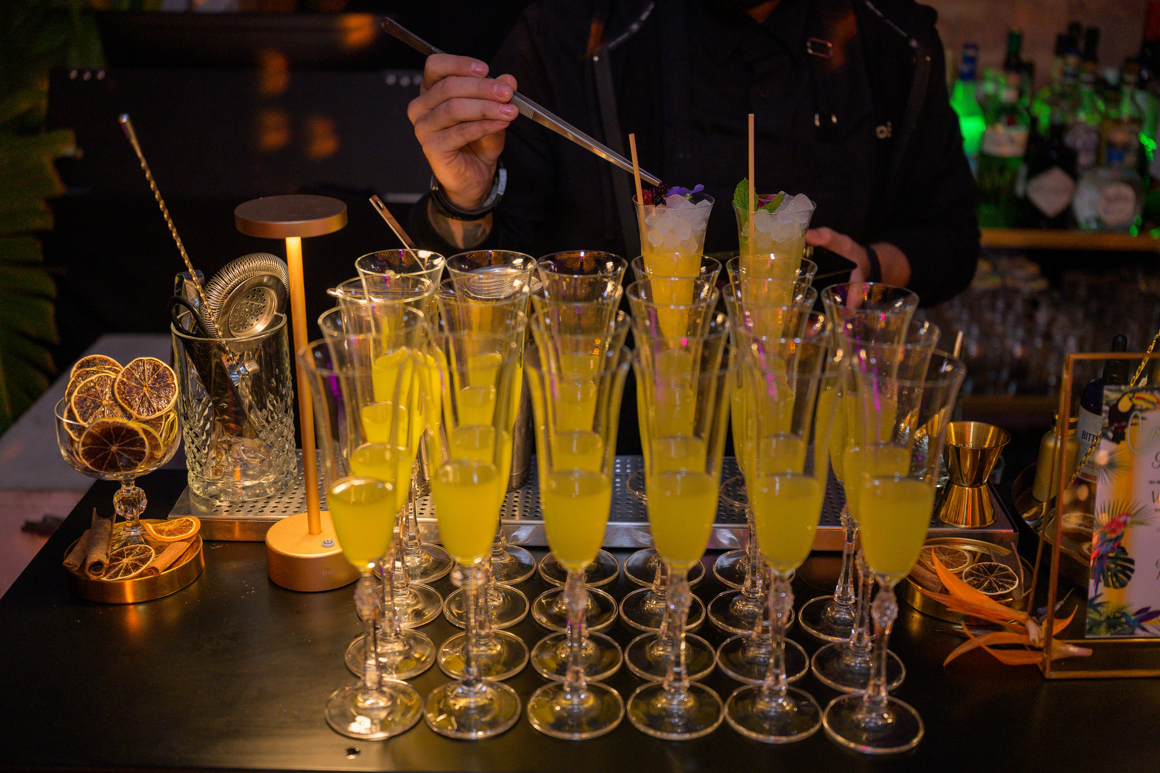 Where Tropical Elegance meets Celebration — 11