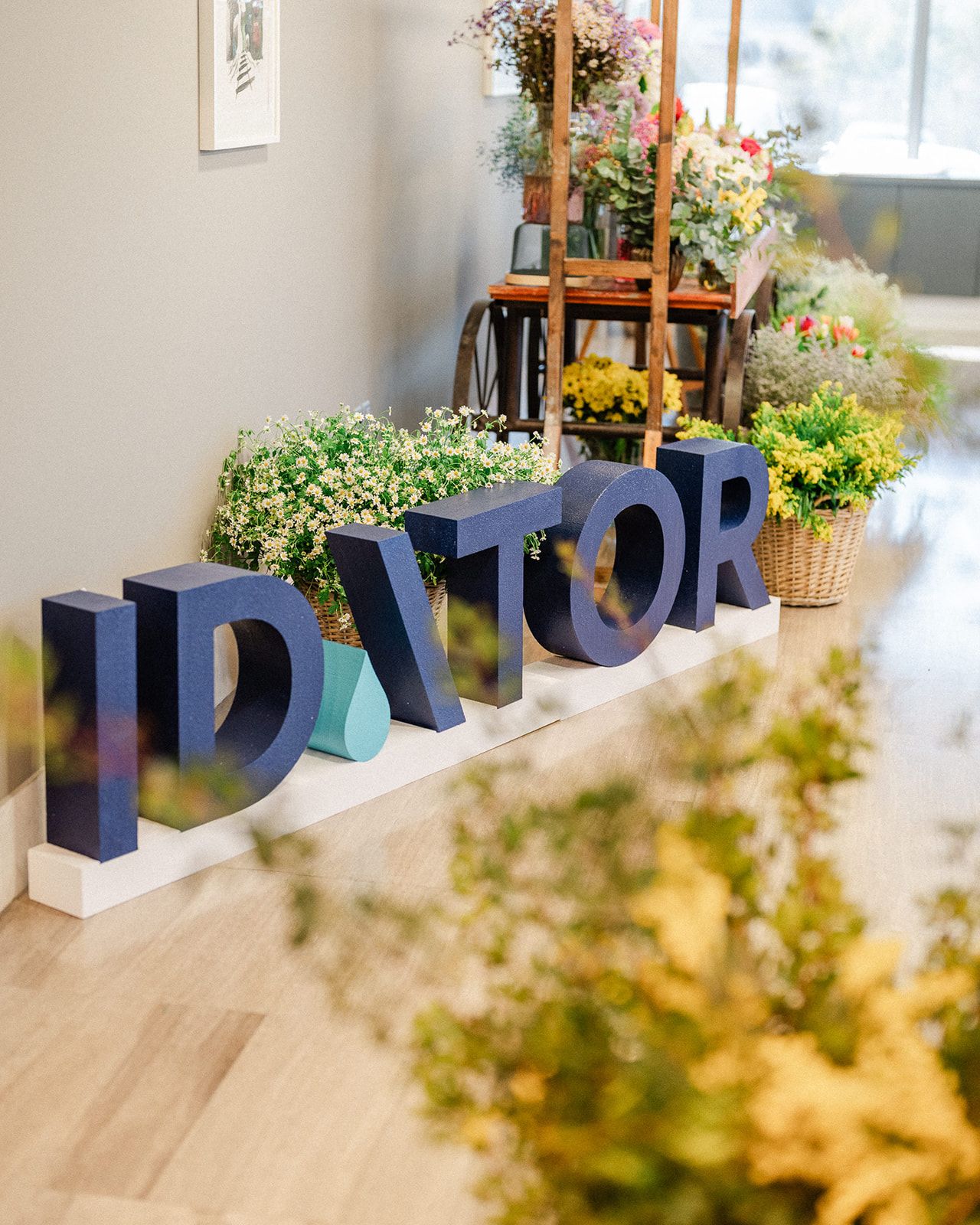 Idator Woman's Day
