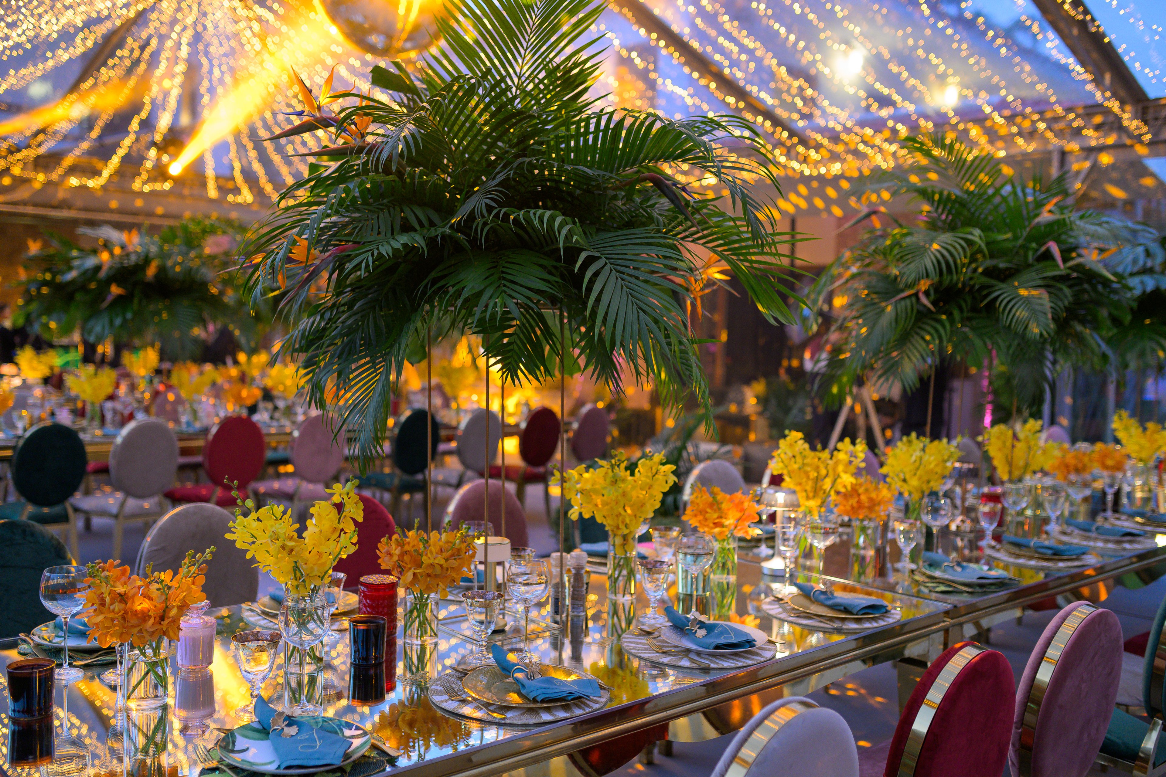 Where Tropical Elegance meets Celebration — 5