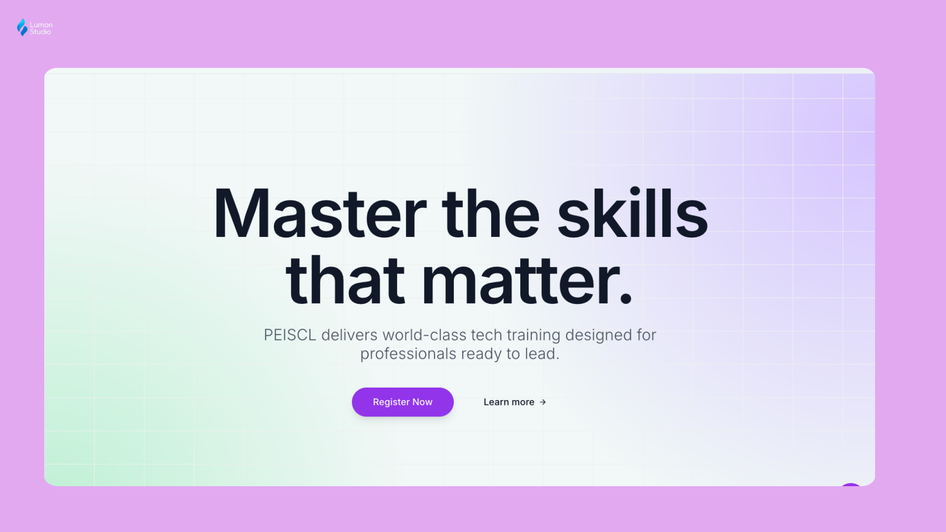 PEISCL wanted its tech skills training online, from basic computer skills to AI policy for government. I built the site, launch strategy, and payment setup. — PEISCL
