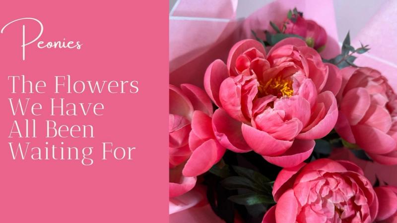 Valentines Day Flowers 