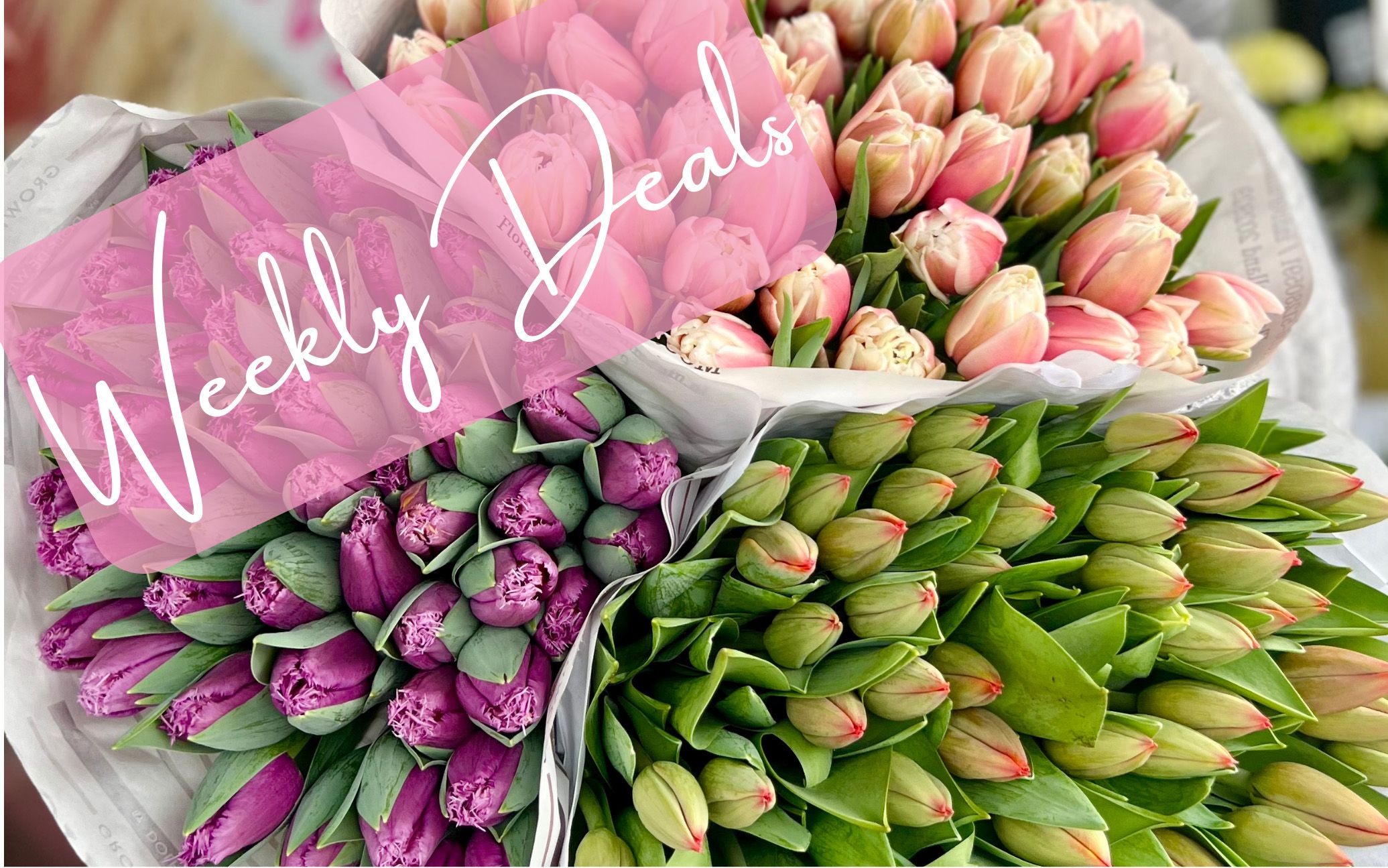 Special Offer Weekly Flower Deals Discount Flowers Birmingham