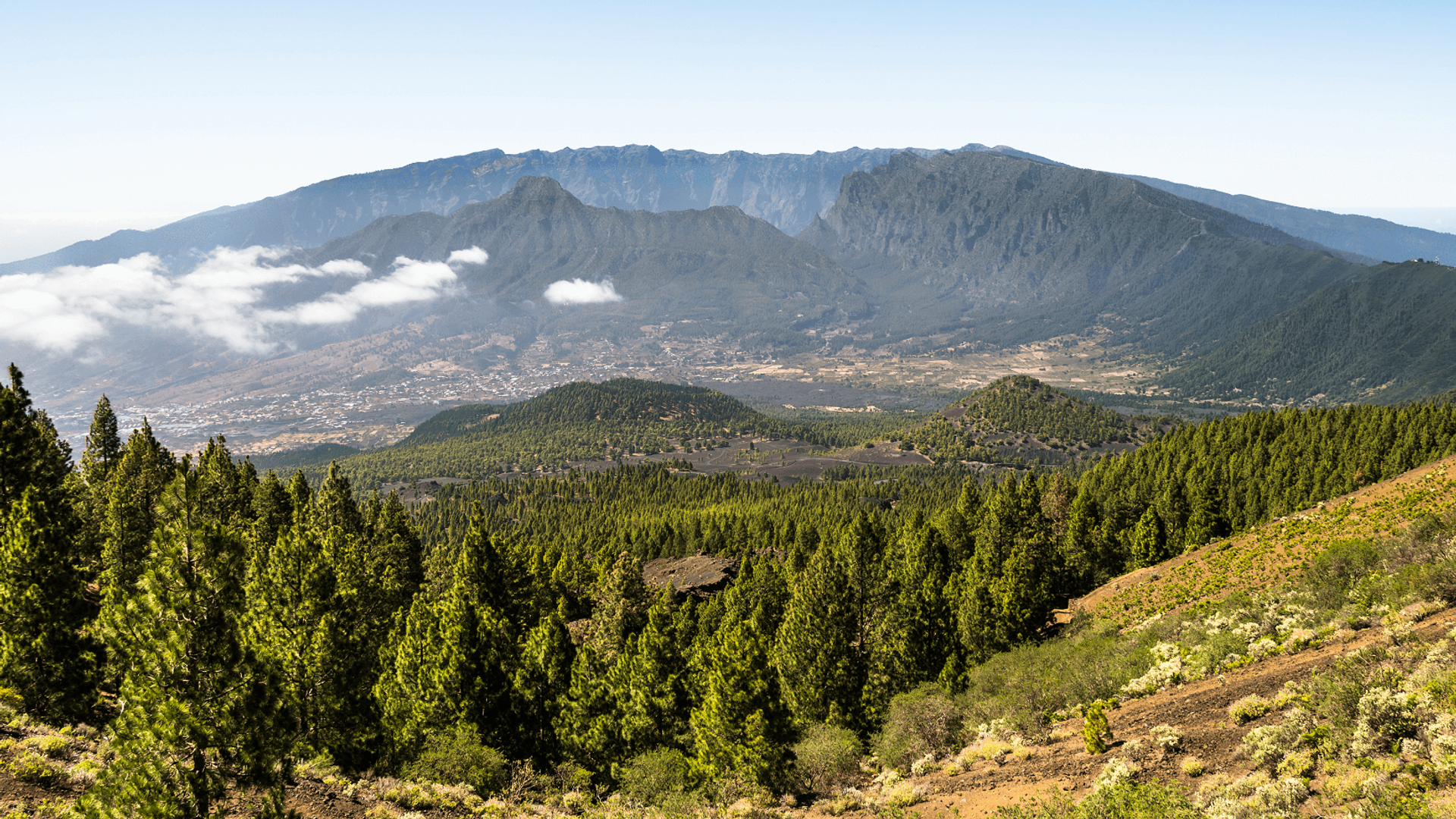 Hiking La Palma Caldera de Taburiente national park