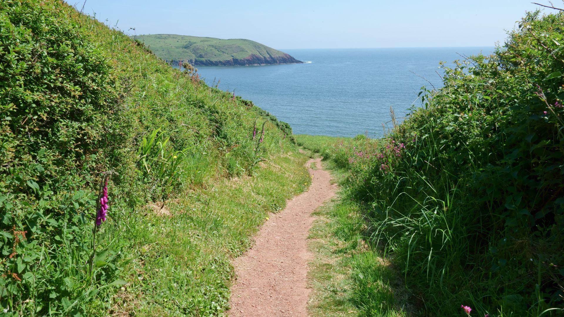 Narrow coastal path overlooking the sea and a grassy headland on the Pembrokeshire Coast Path.