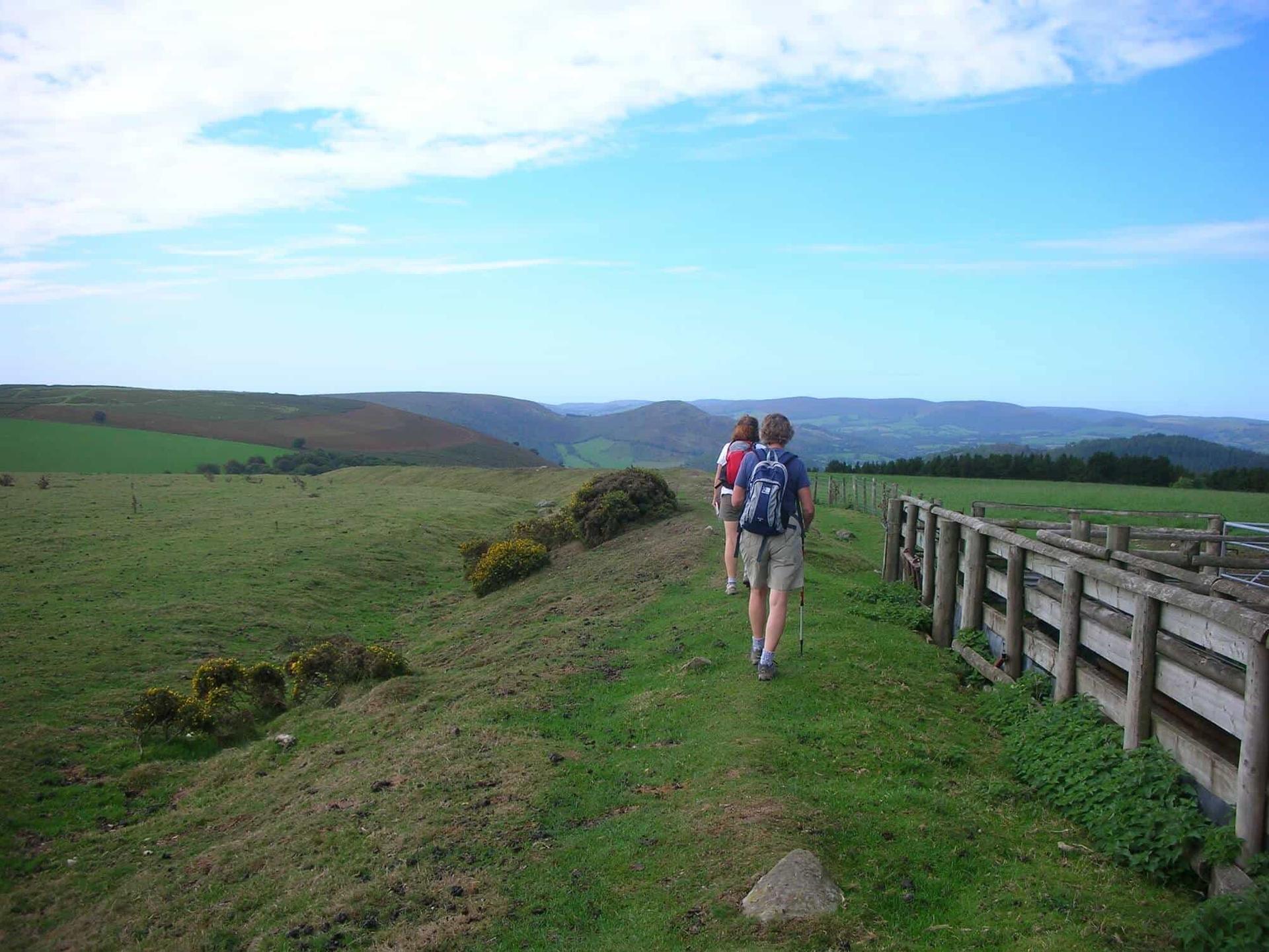 Walking along the ridge near Knighton on the Offa’s Dyke Path walking holiday