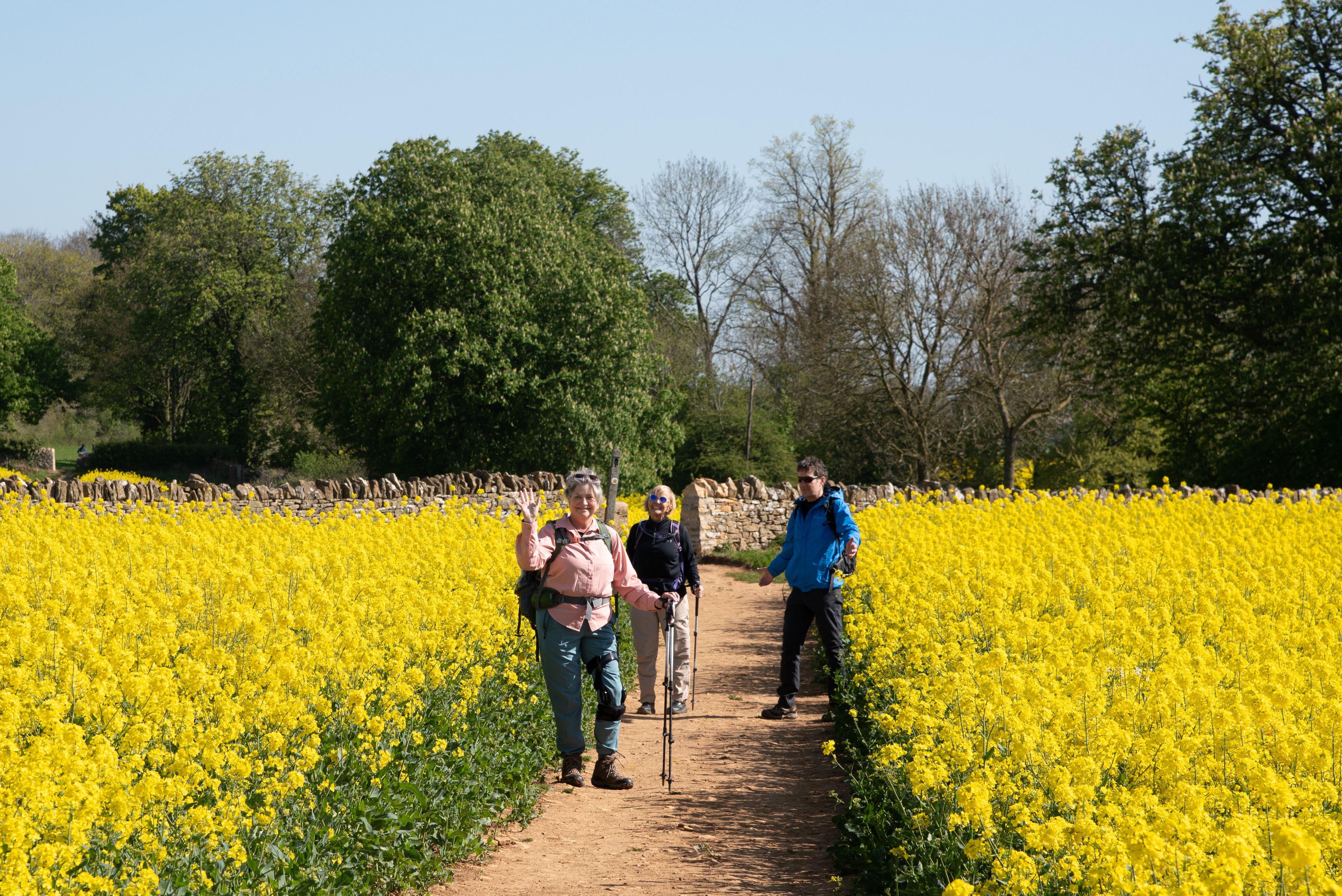 Walkers following the Cotswold Way towards a Cotswold village.