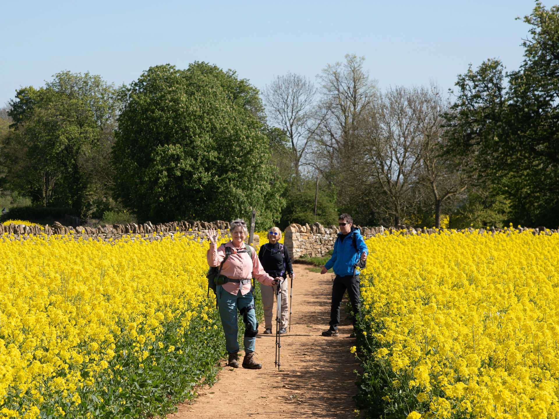 Walkers following the Cotswold Way towards a Cotswold village.
