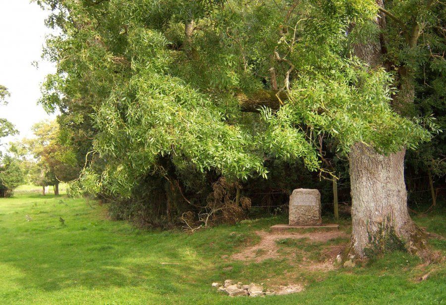 Source-Thames-Thames-Path