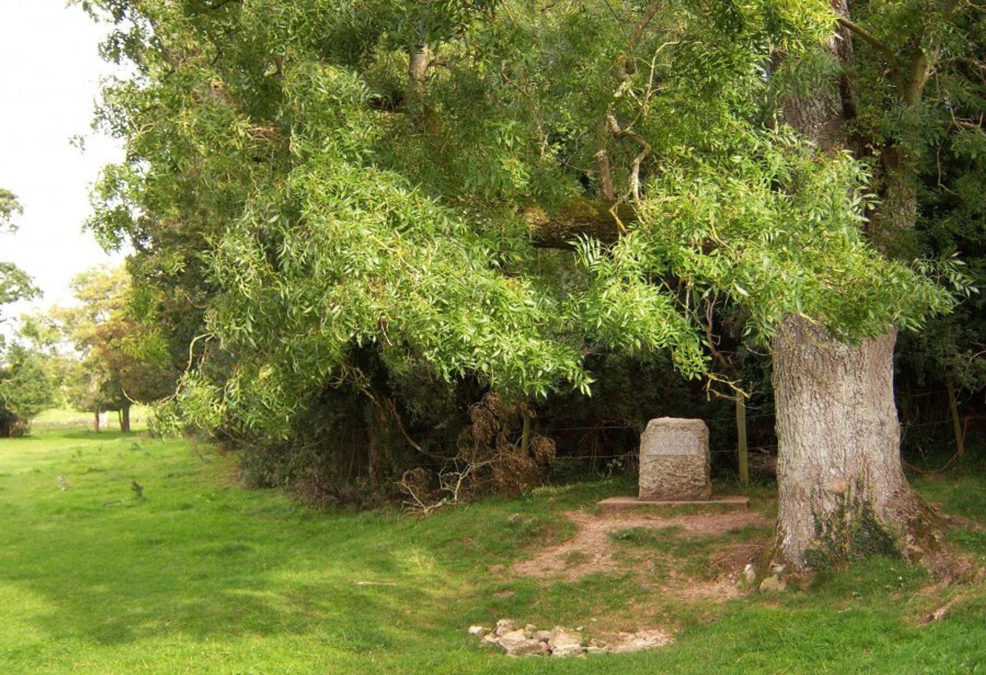 Source-Thames-Thames-Path