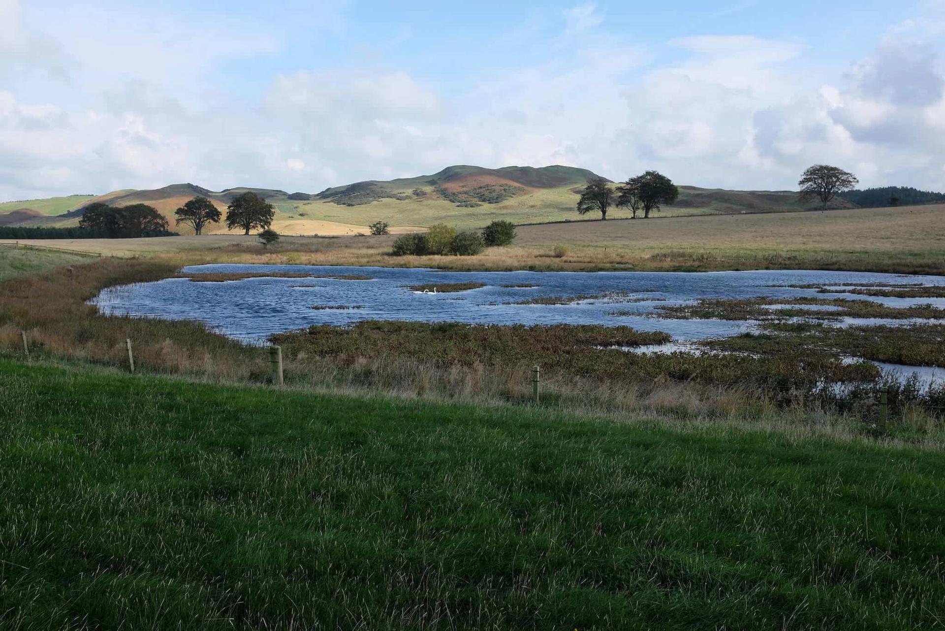 Hawick on the Border Abbeys Way
