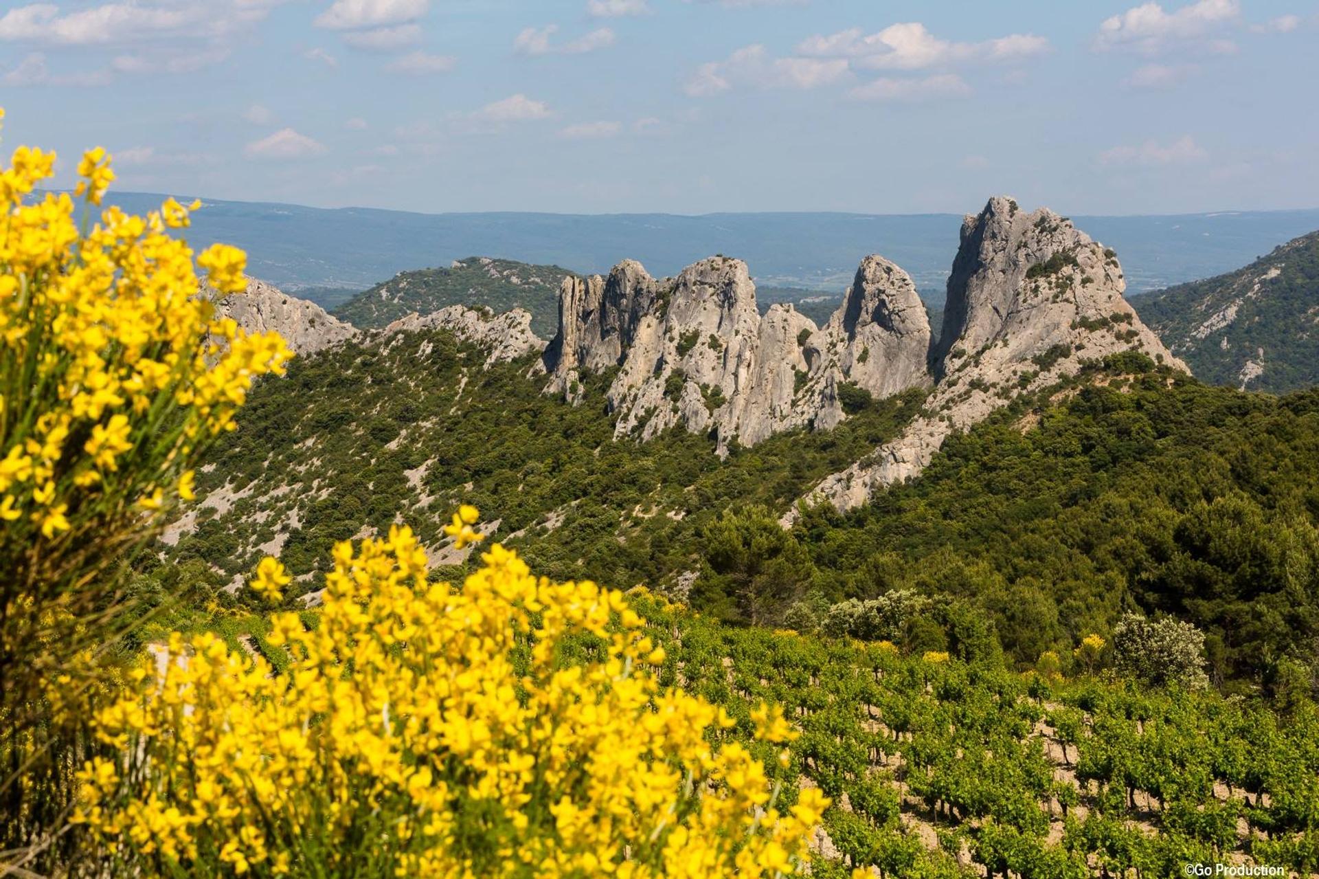 Dentelles de Montmirail limestone ridges rising above vineyards in Provence