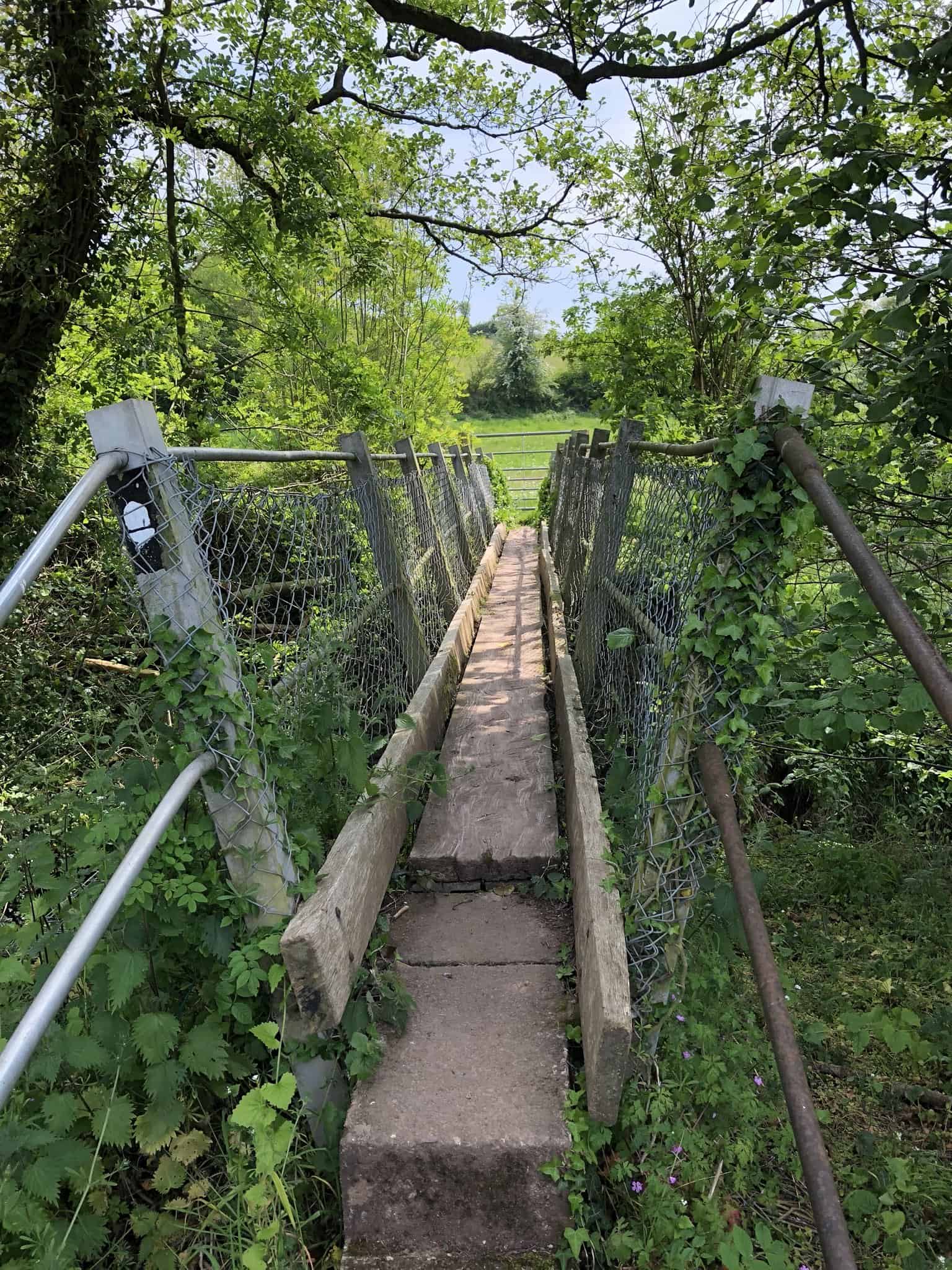 Wooden footbridge on the Offa’s Dyke Path through green farmland and woodland
