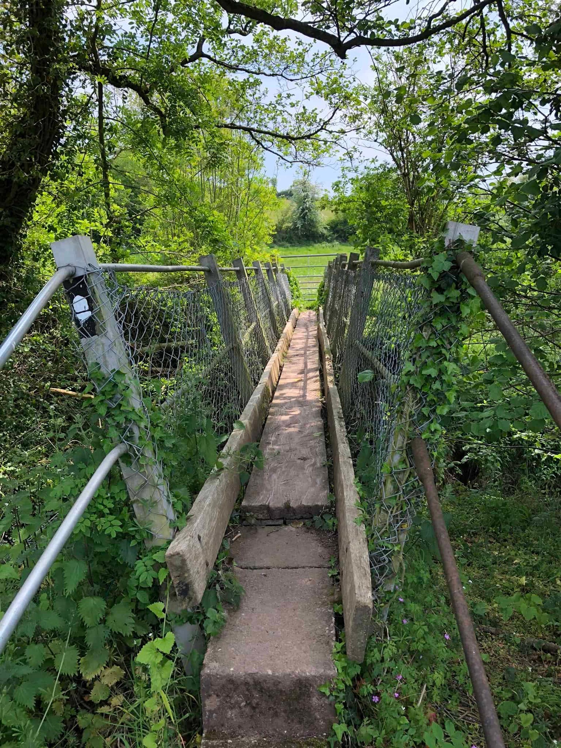 Wooden footbridge on the Offa’s Dyke Path through green farmland and woodland