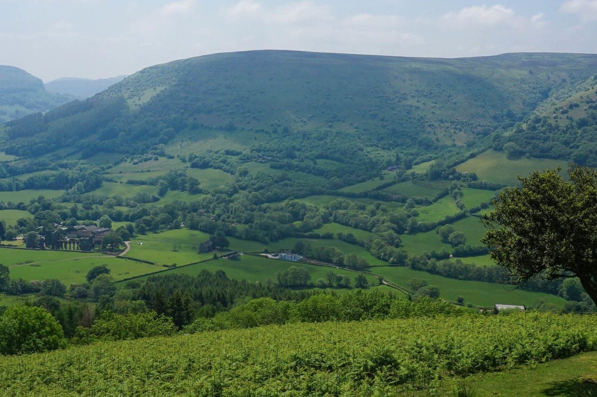 Offas Dyke Hatterall Hill Short Break