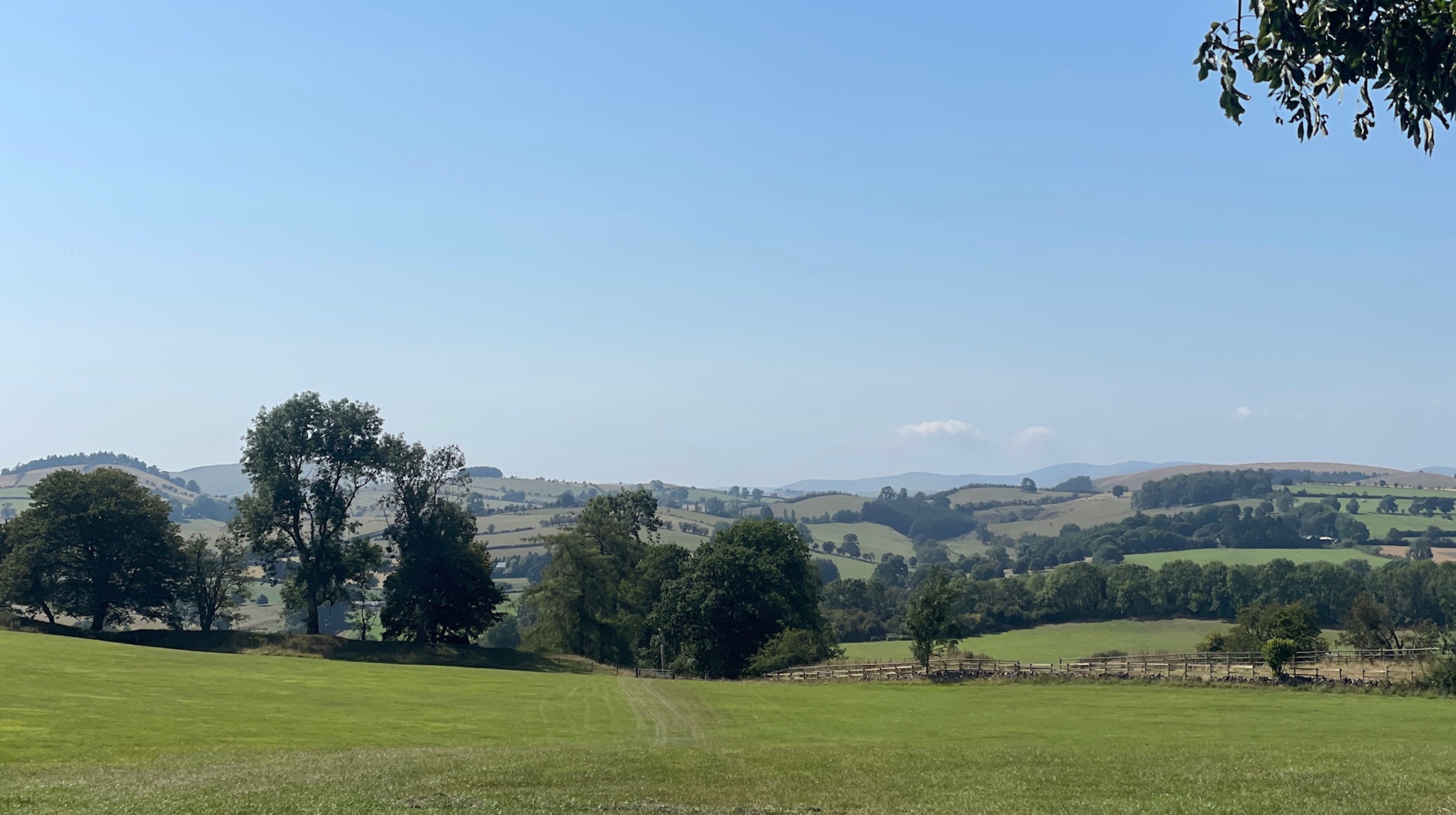 A wide, rolling green landscape under a clear blue sky, with scattered trees and fields in the distance.