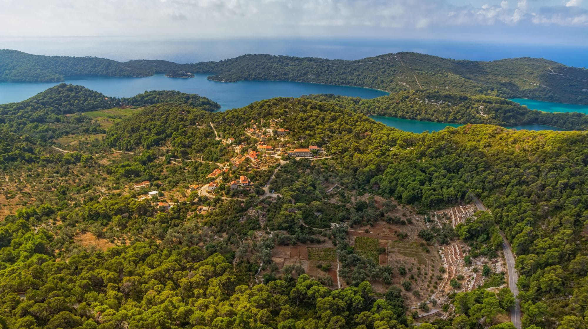 Mljet