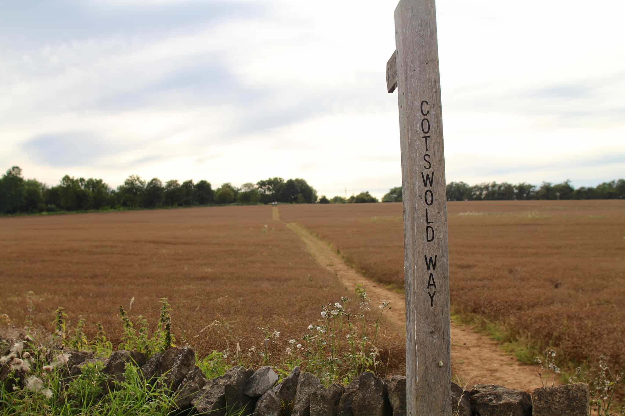 Walking Holidays Cotswolds Way