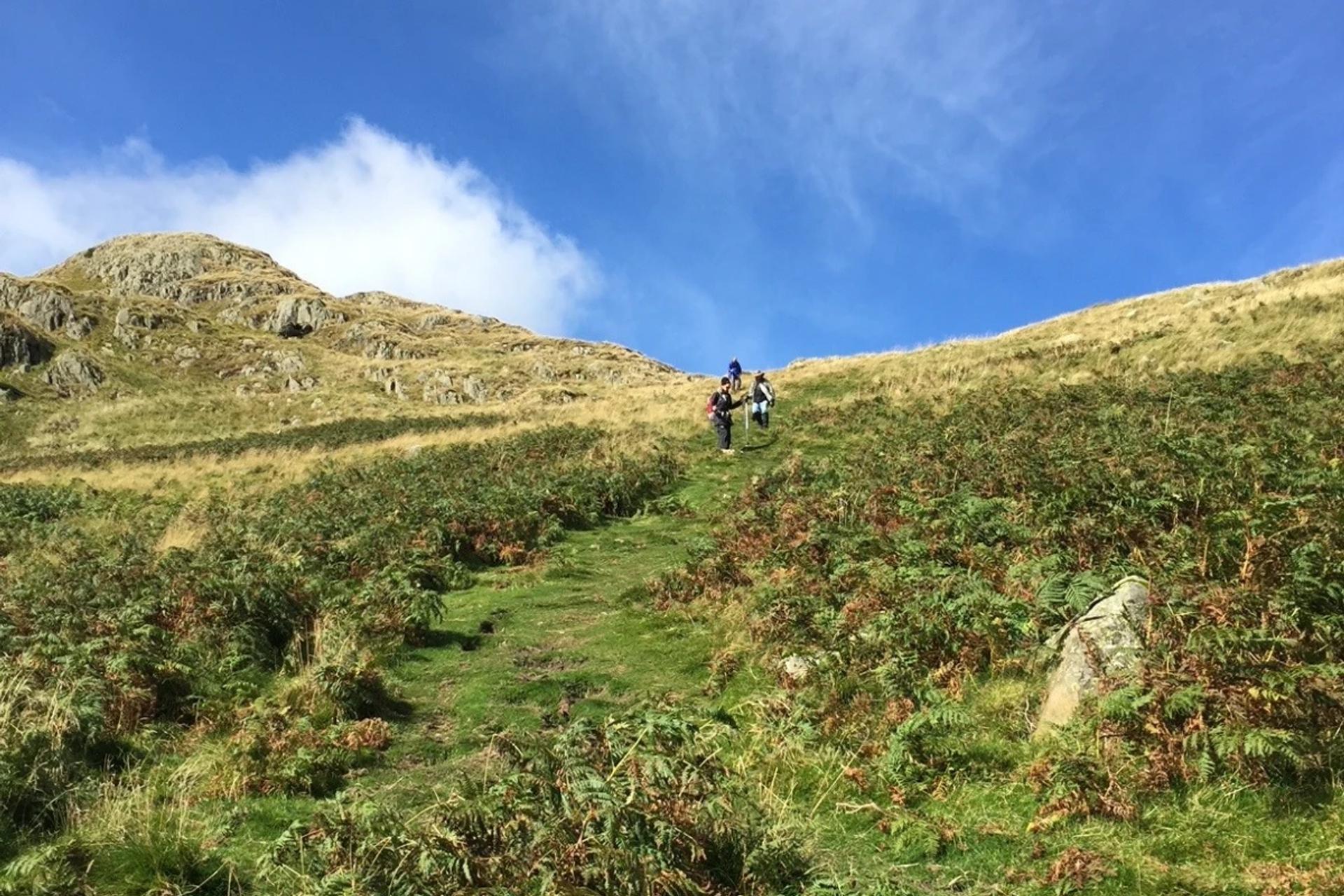 Hand-Picked Accommodation: Comfort Along the Way